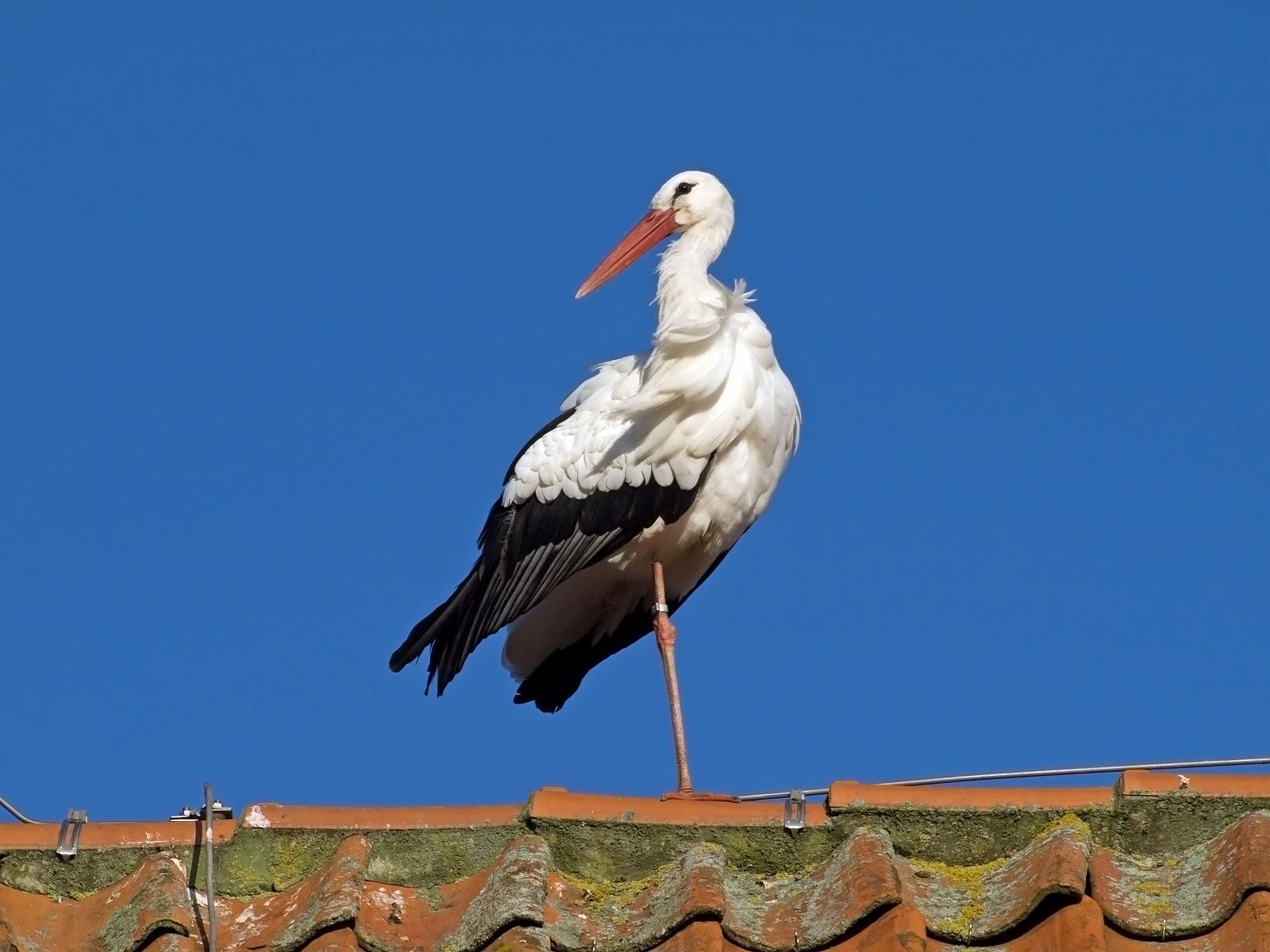 Tierpark_Rheine_23.jpg