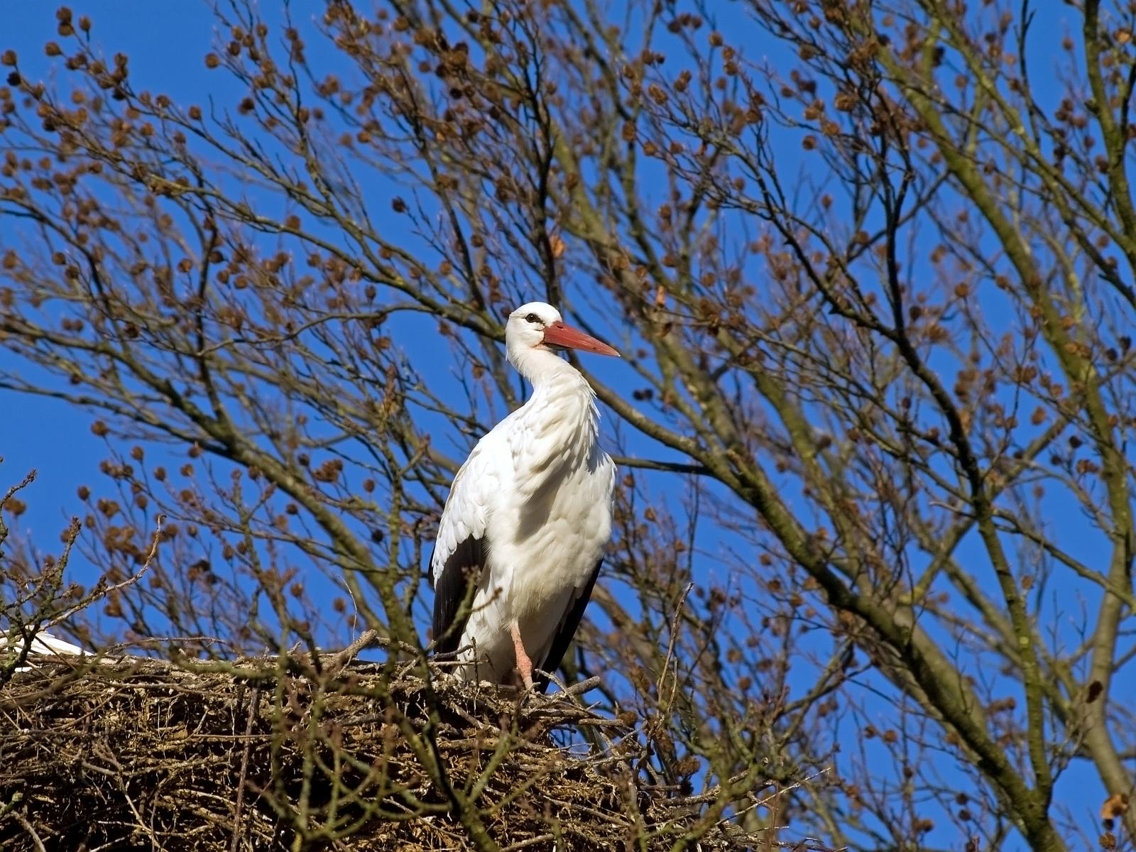 Tierpark_Rheine_24.jpg