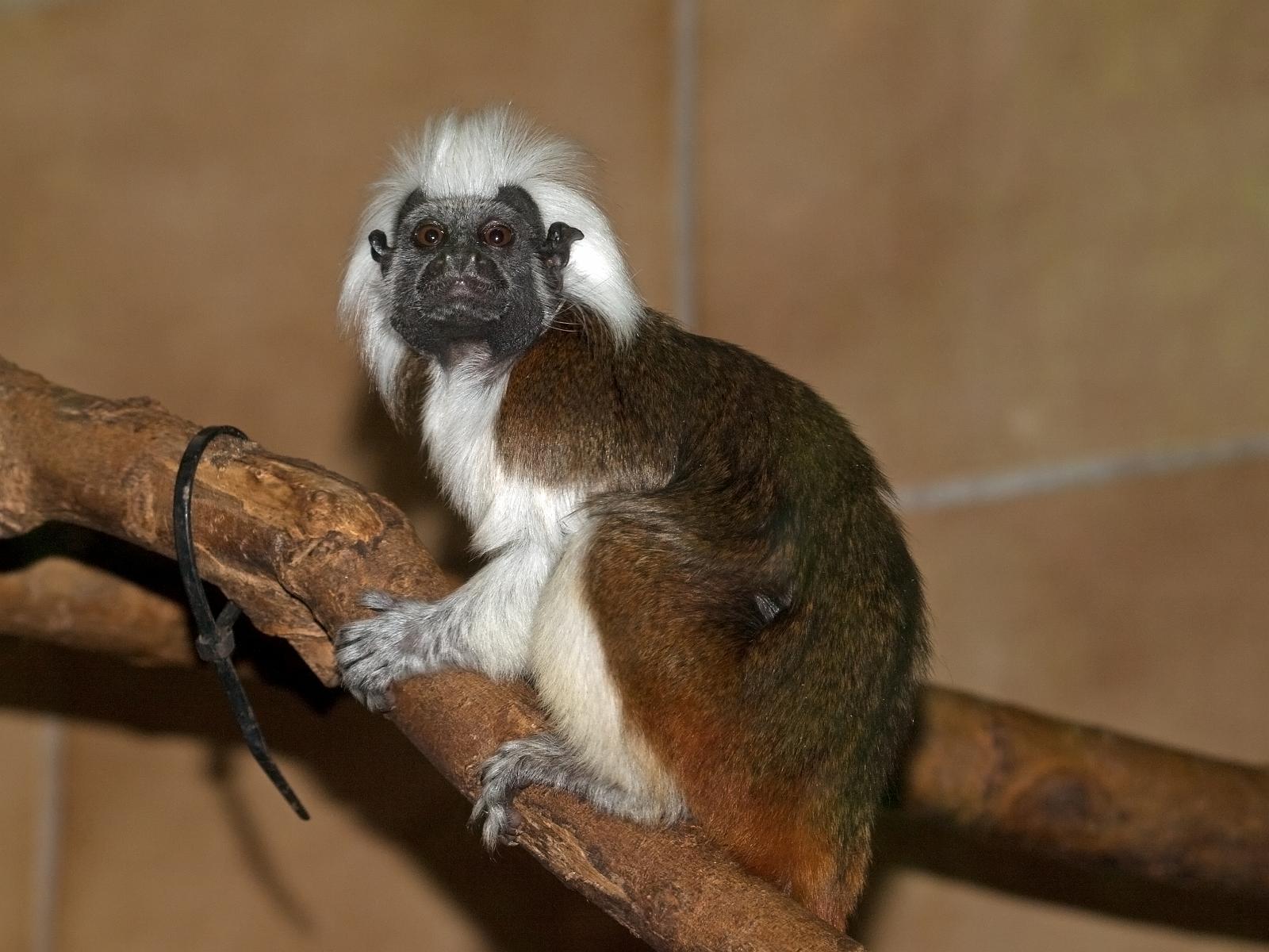 Tierpark_Rheine_26.jpg