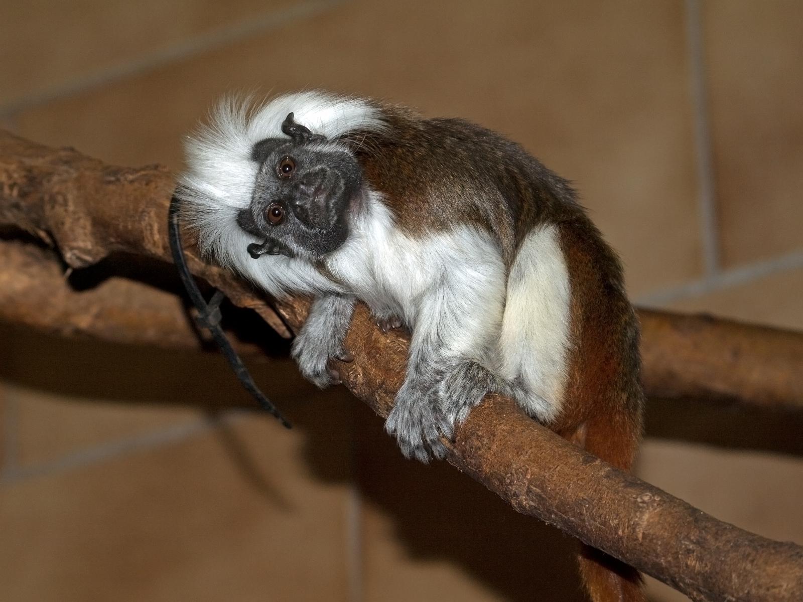 Tierpark_Rheine_27.jpg
