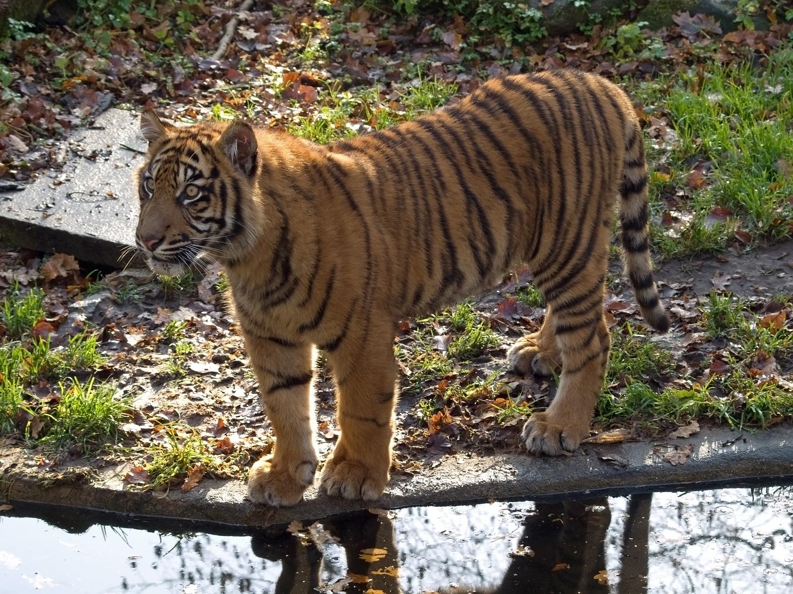 Tierpark_Rheine_31.jpg