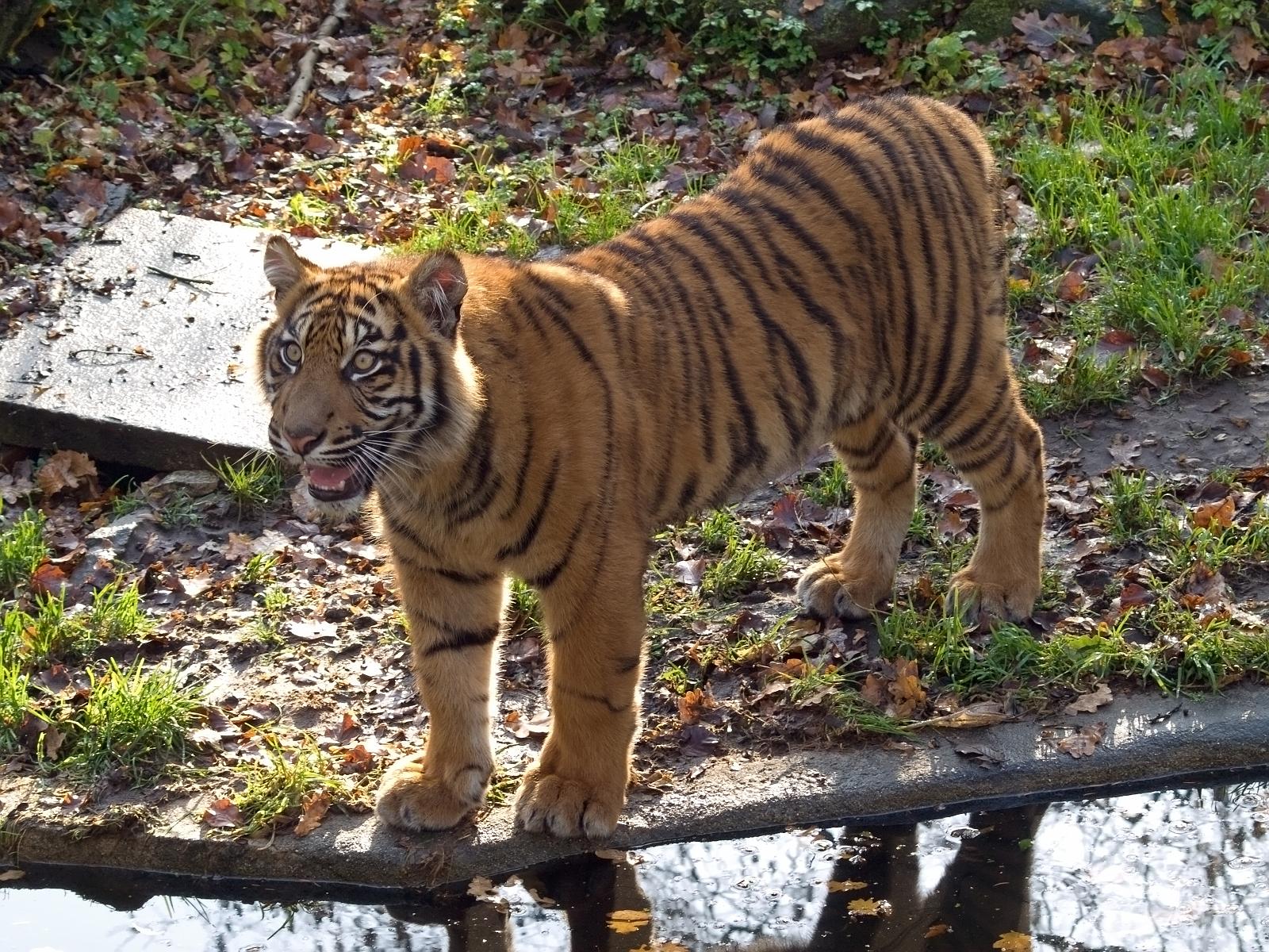 Tierpark_Rheine_32.jpg