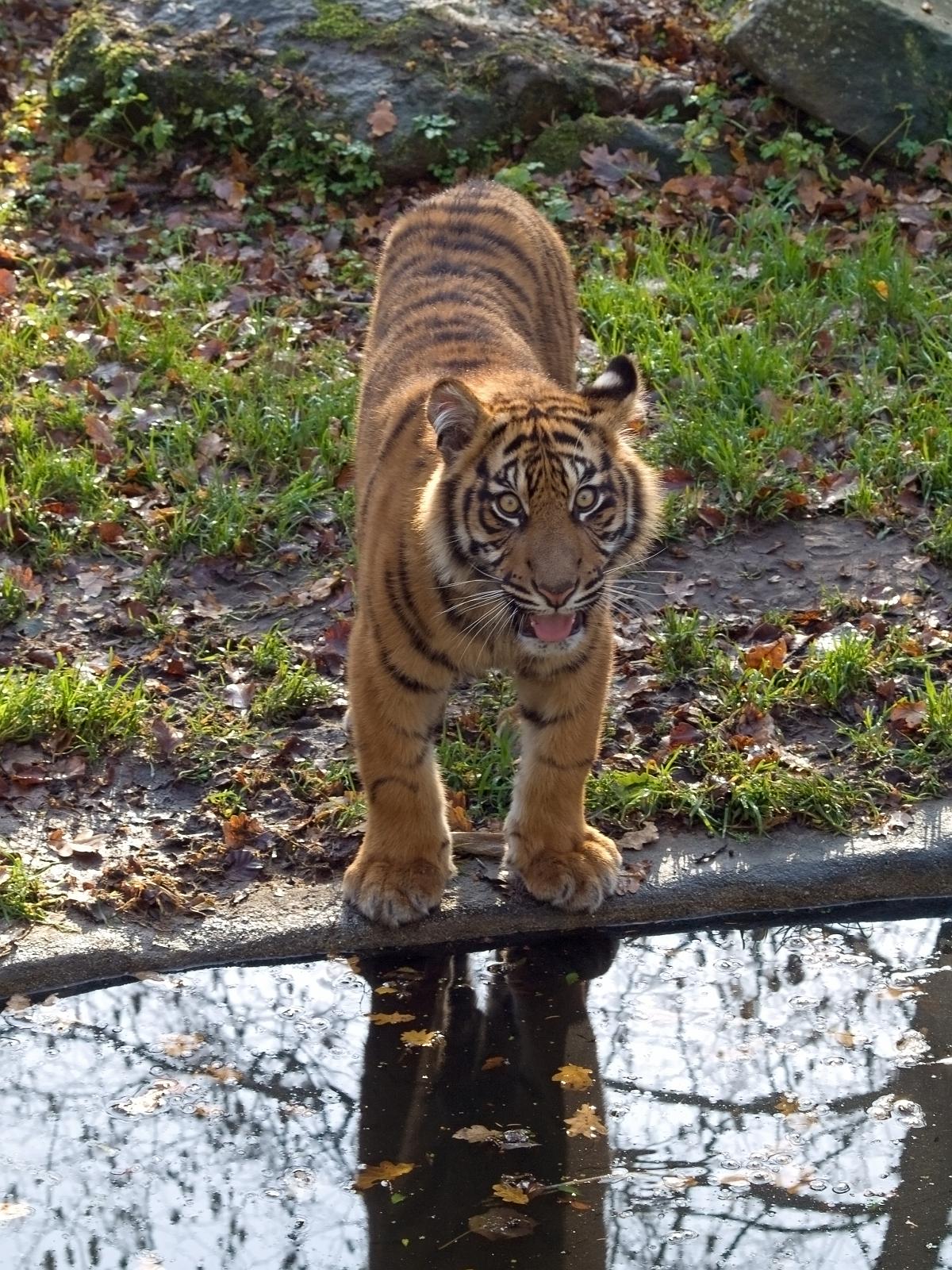 Tierpark_Rheine_33.jpg