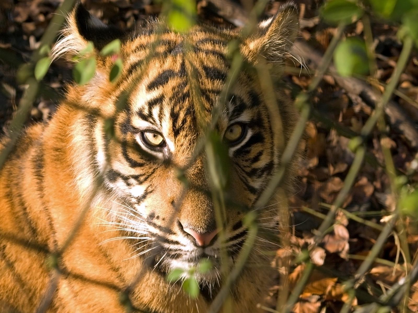 Tierpark_Rheine_34.jpg