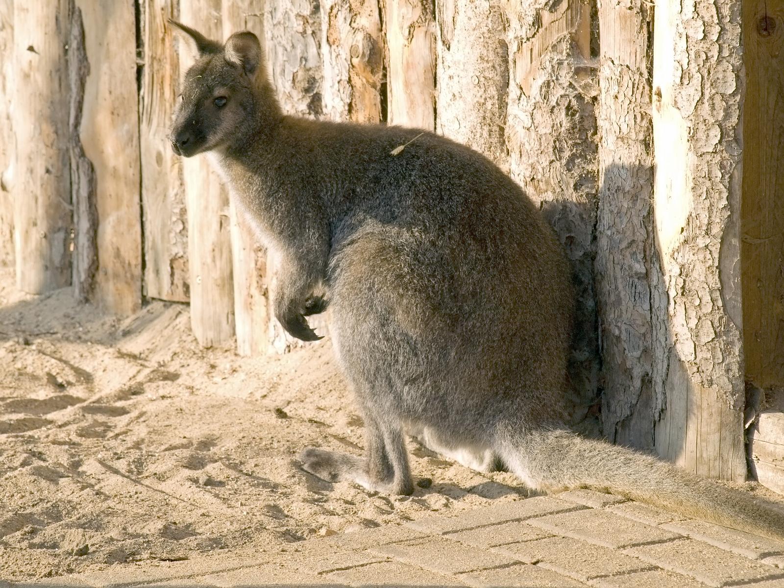 Tierpark_Rheine_37.jpg