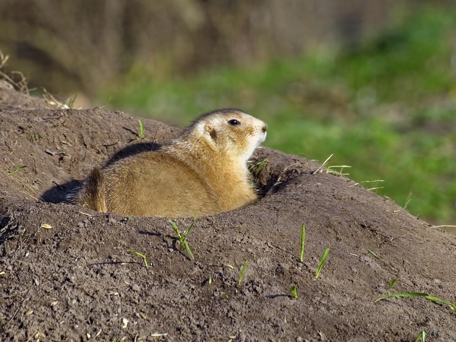 Tierpark_Rheine_41.jpg
