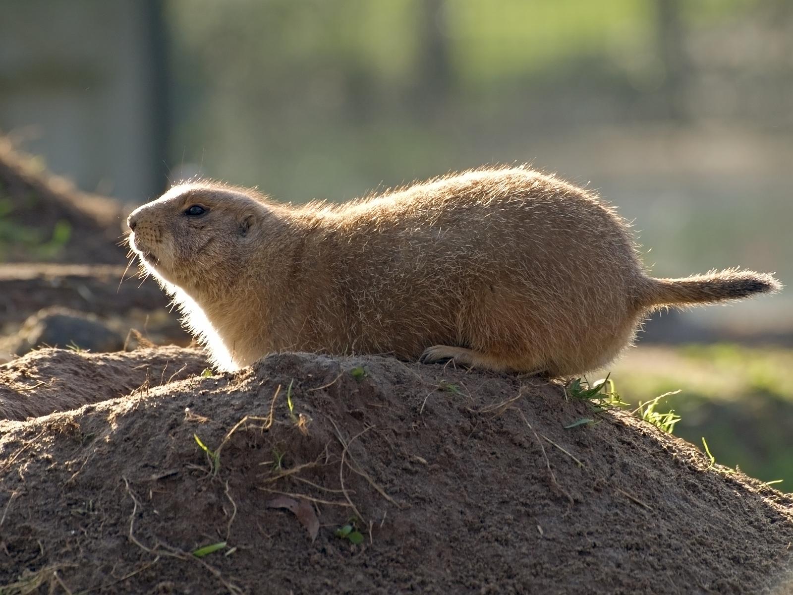Tierpark_Rheine_43.jpg