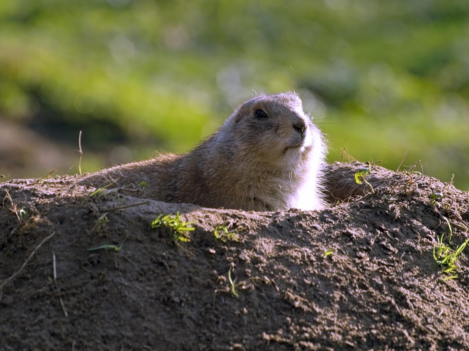 Tierpark_Rheine_44.jpg