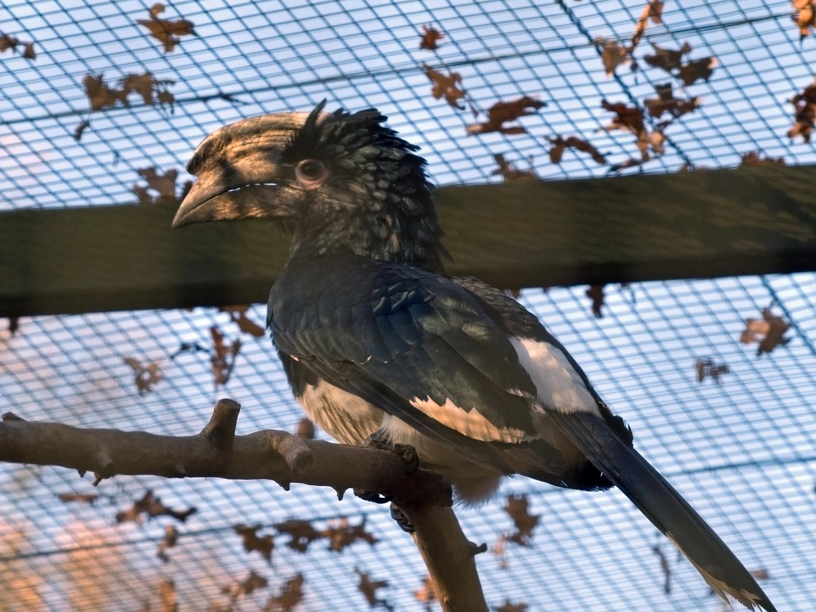 Tierpark_Rheine_45.jpg