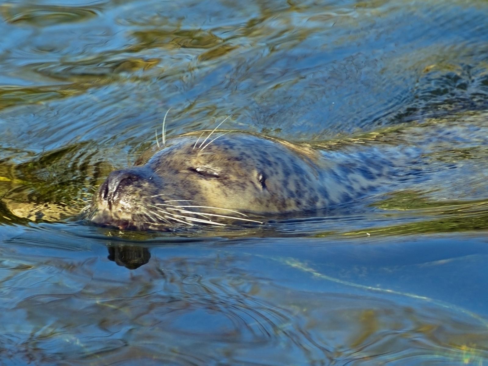 Tierpark_Rheine_46.jpg