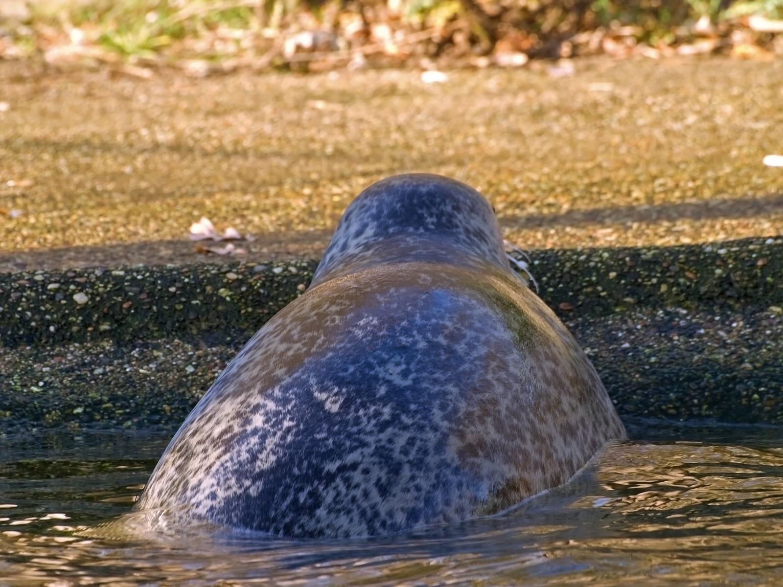 Tierpark_Rheine_47.jpg