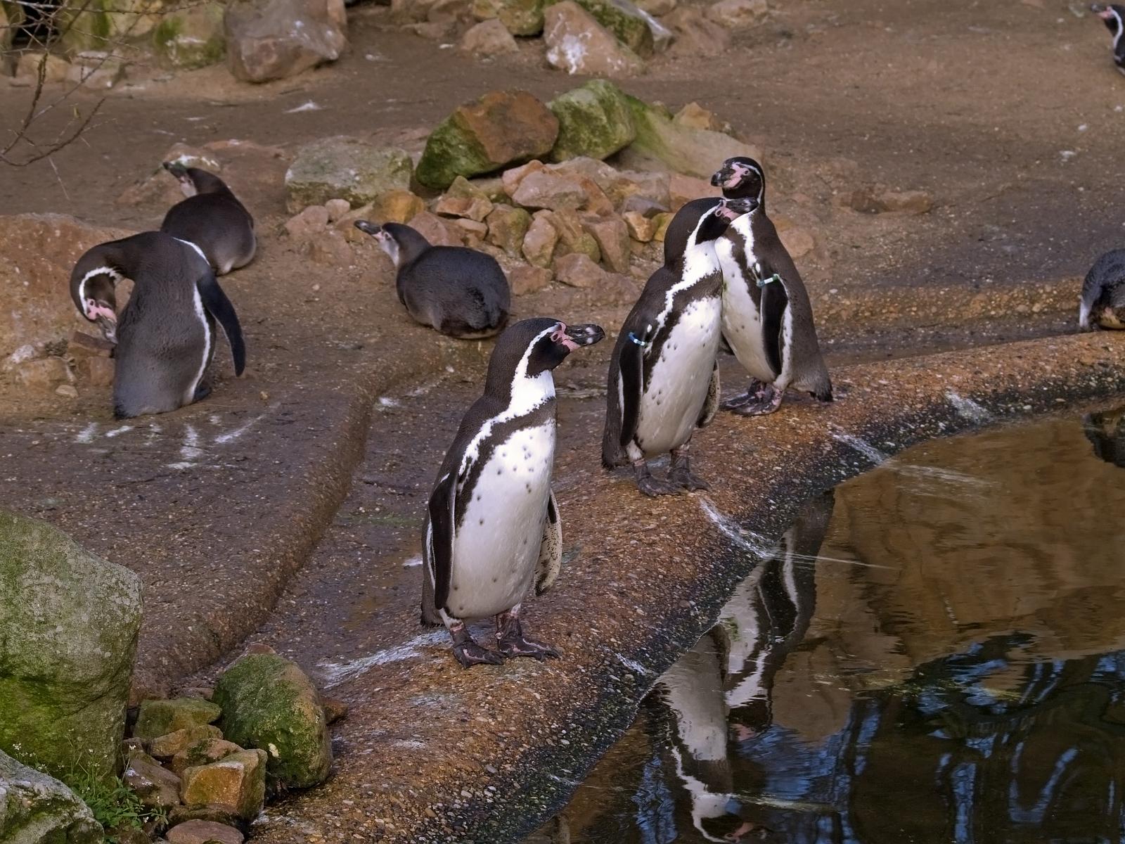 Tierpark_Rheine_48.jpg