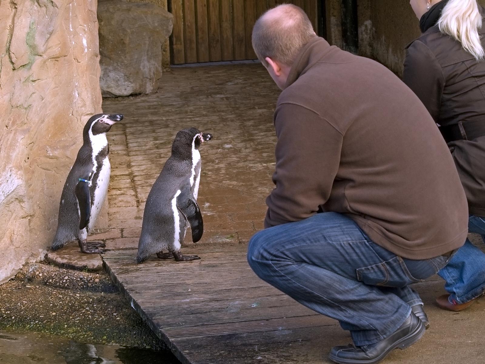 Tierpark_Rheine_49.jpg