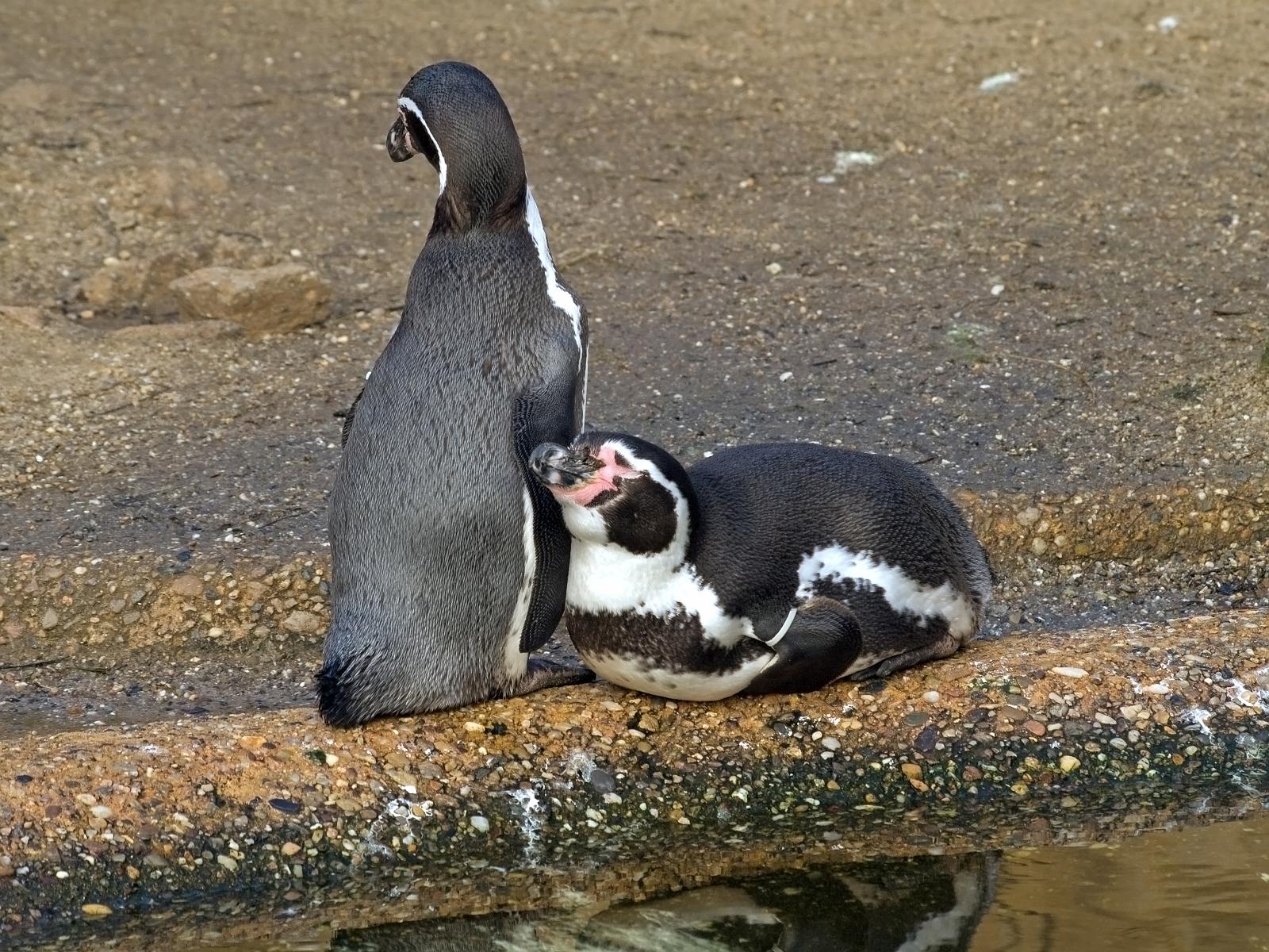 Tierpark_Rheine_50.jpg