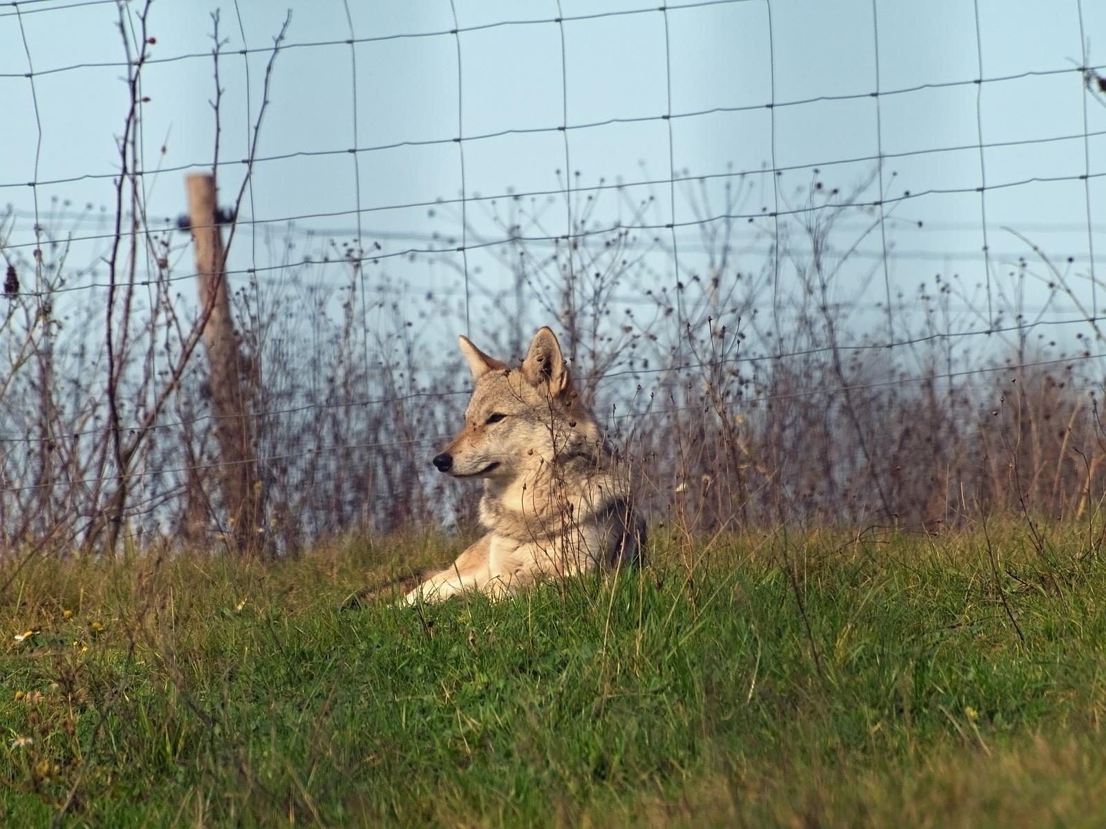Tierpark_Rheine_51.jpg