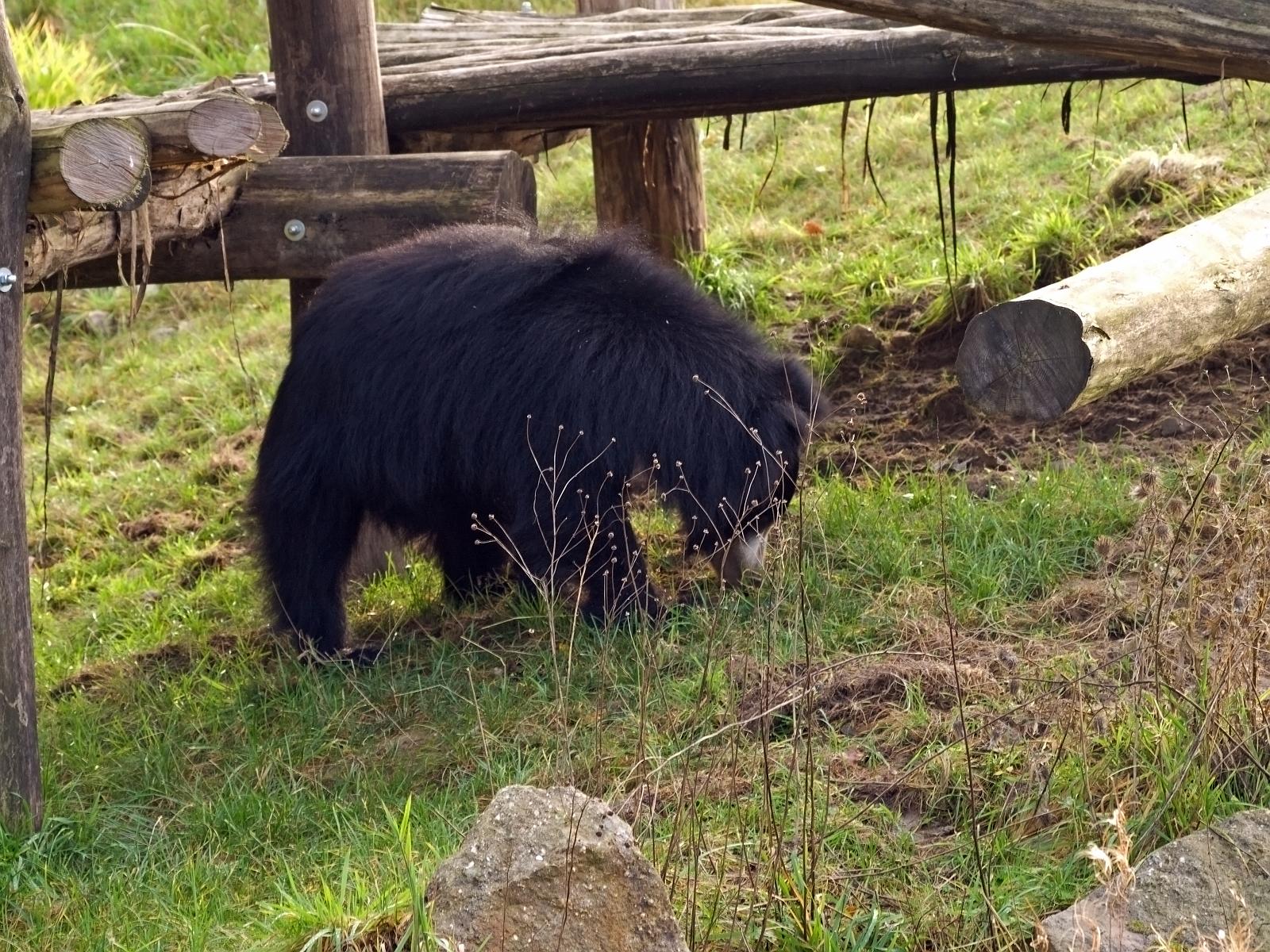 Tierpark_Rheine_54.jpg