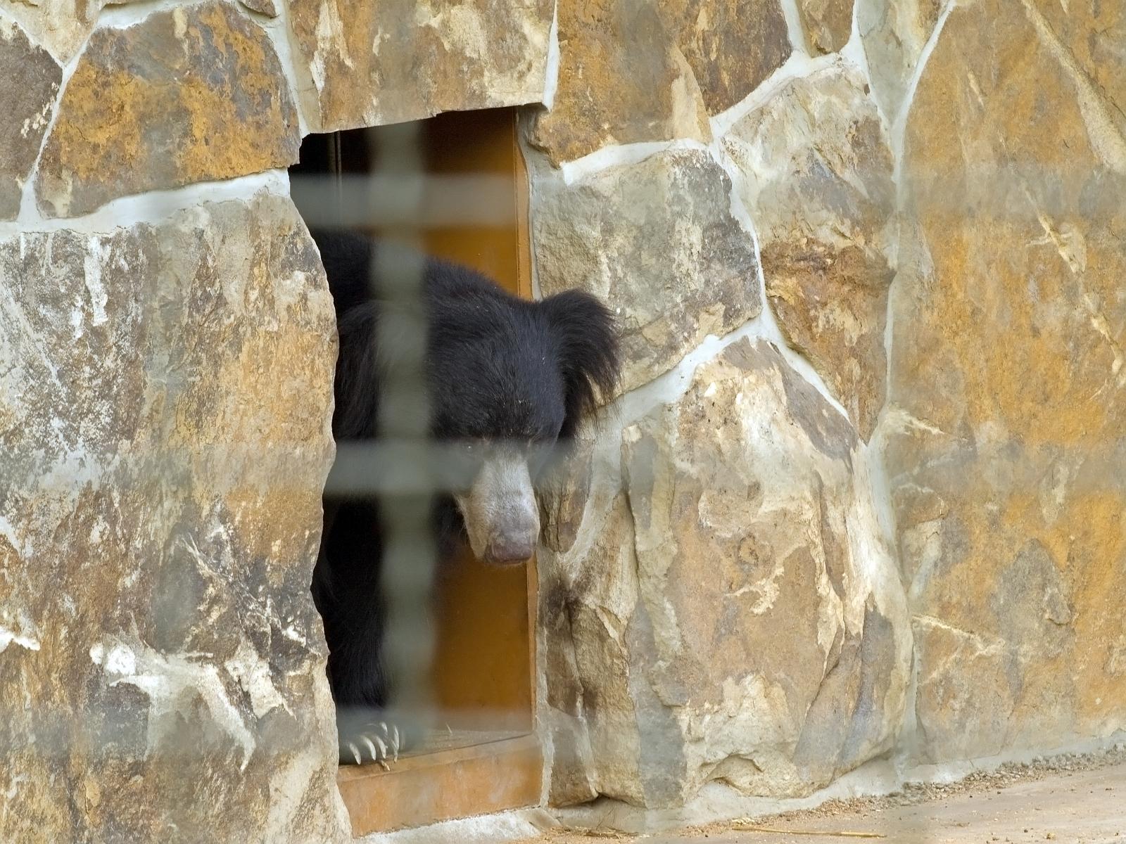 Tierpark_Rheine_55.jpg