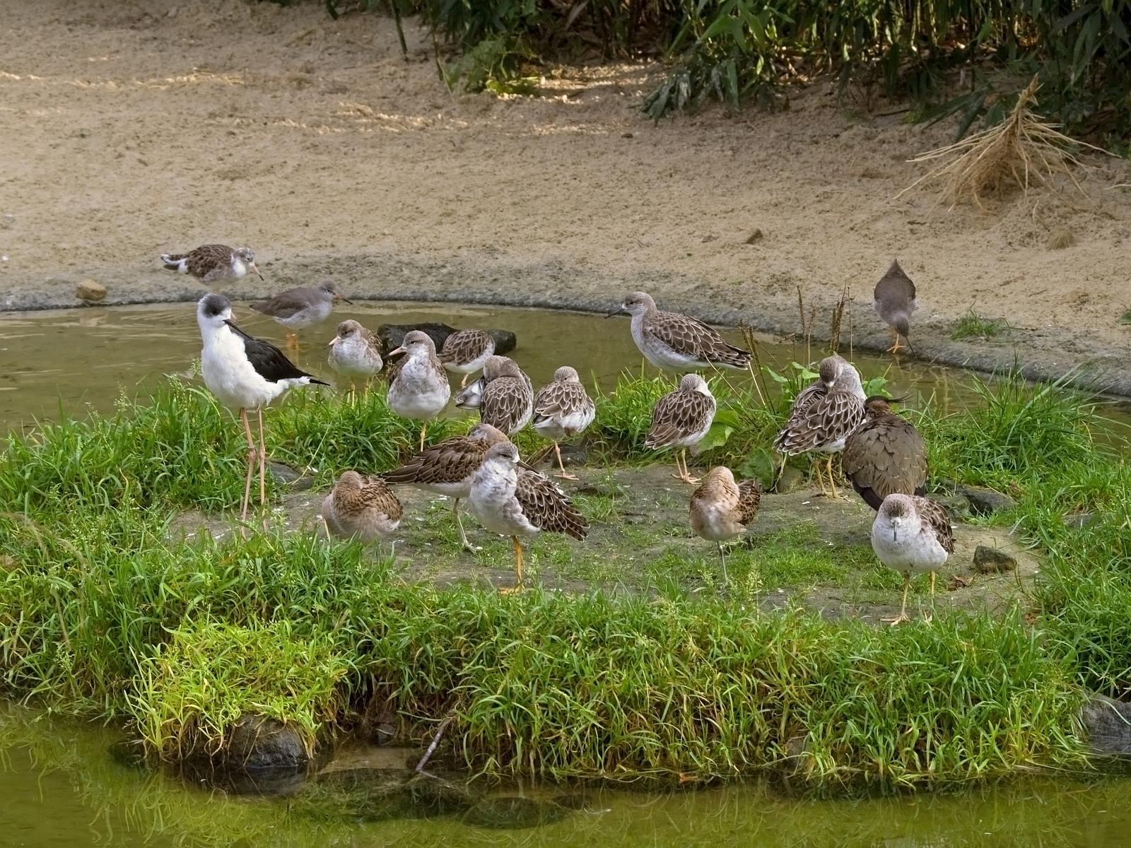 Tierpark_Rheine_57.jpg