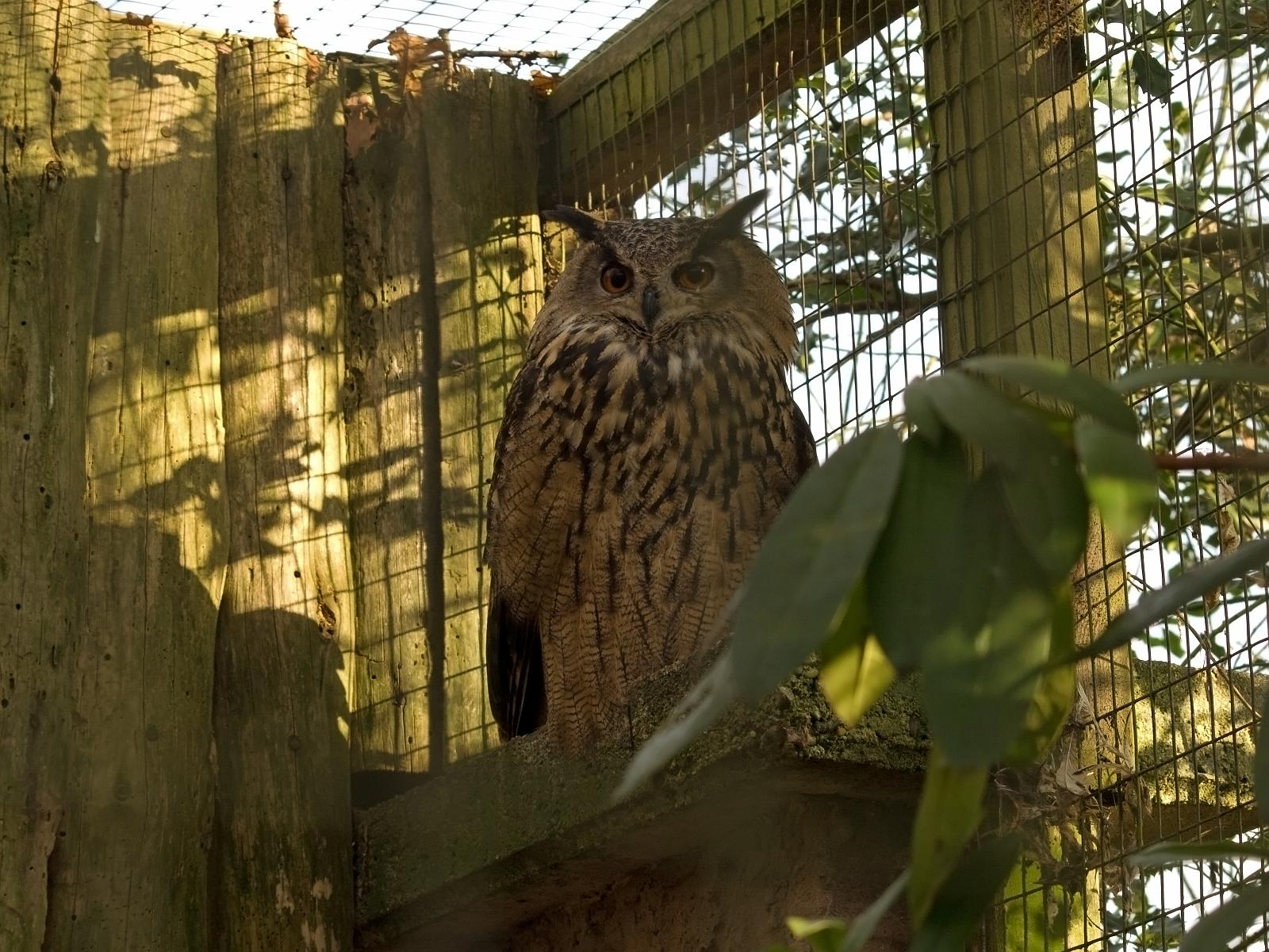 Tierpark_Rheine_61.jpg