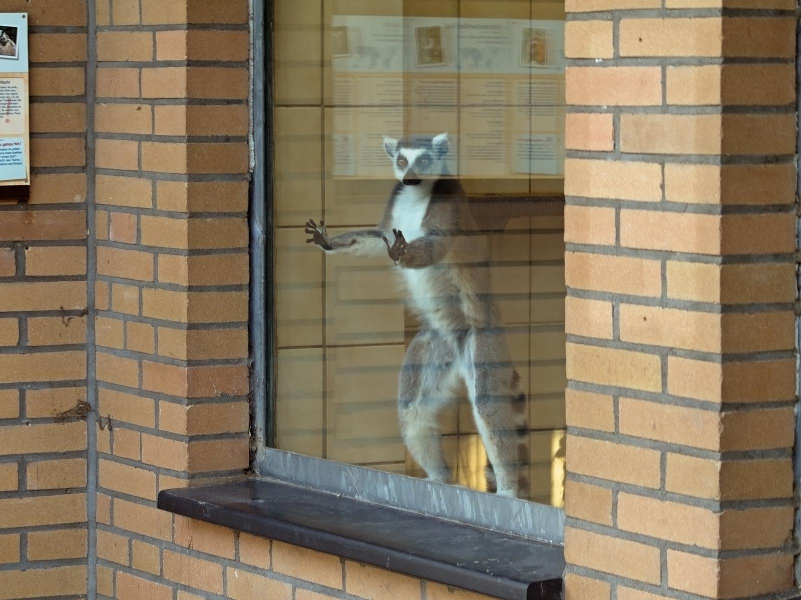 Tierpark_Rheine_62.jpg