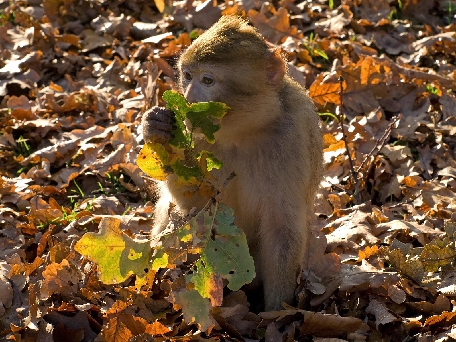 Tierpark_Rheine_64.jpg