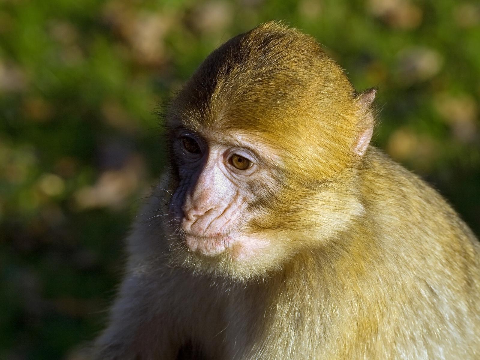 Tierpark_Rheine_67.jpg