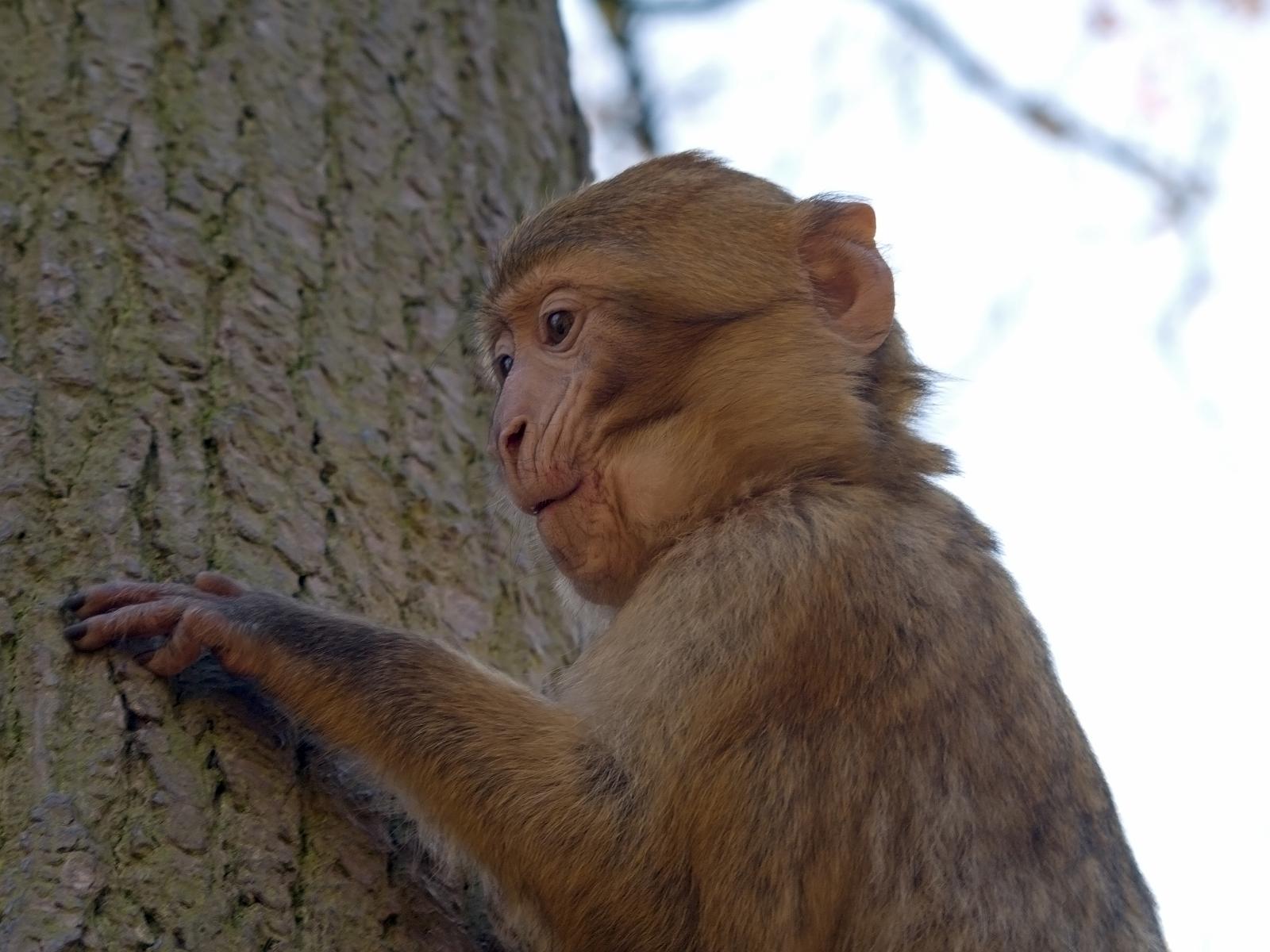 Tierpark_Rheine_68.jpg