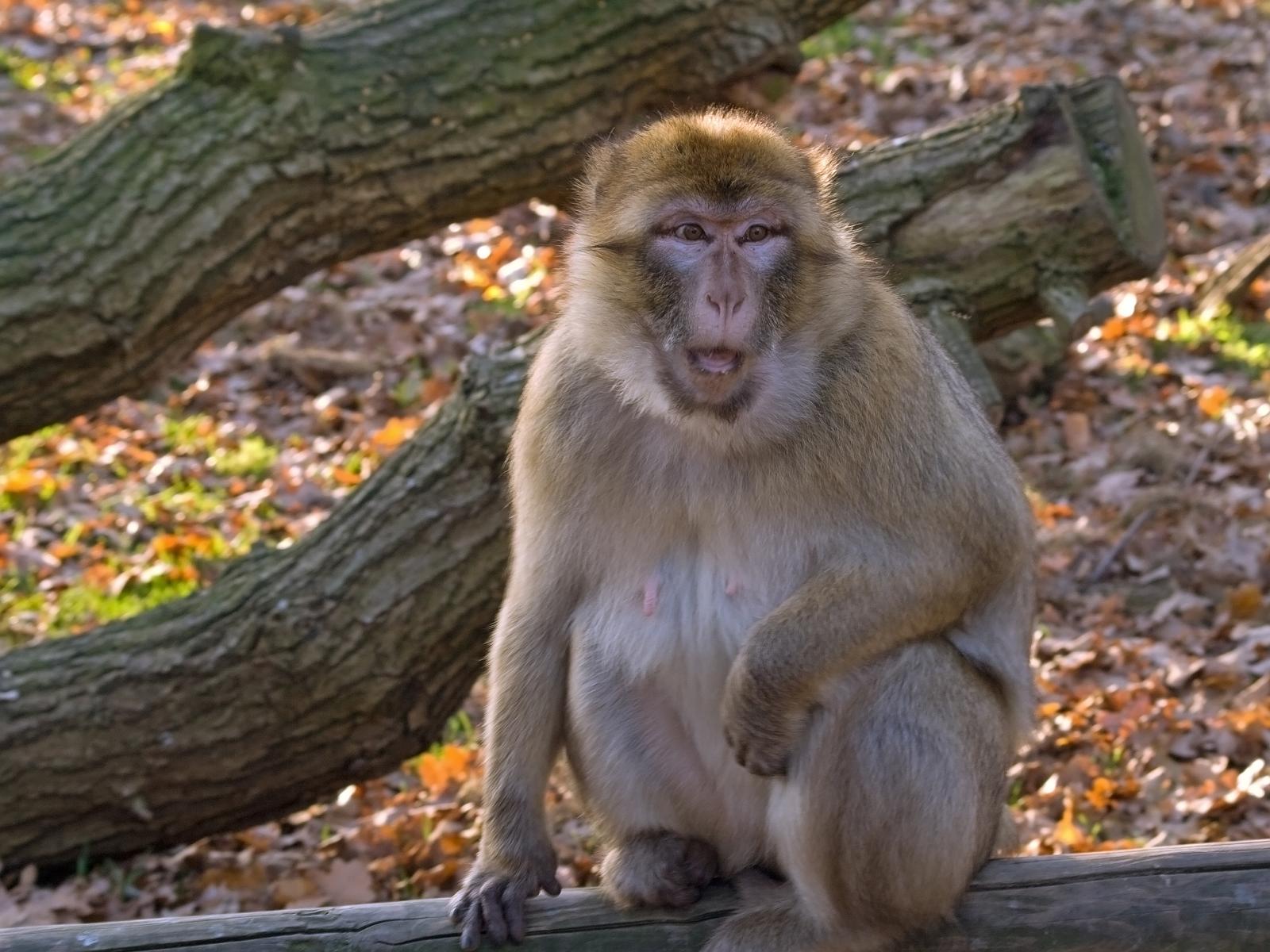 Tierpark_Rheine_69.jpg