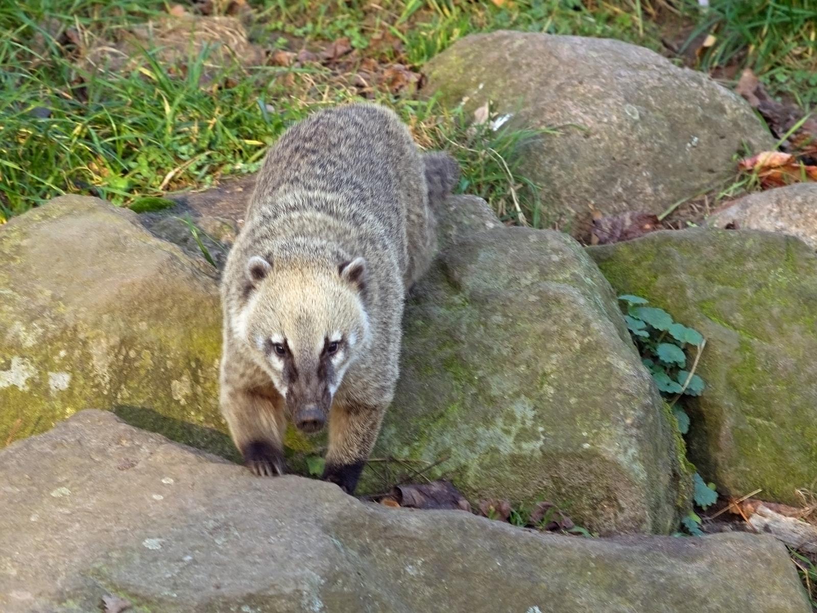 Tierpark_Rheine_73.jpg