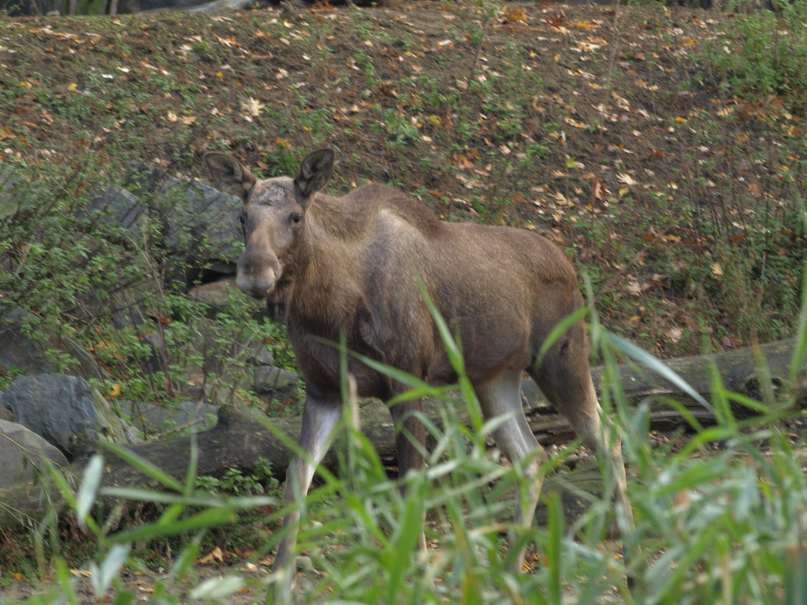PA184169.jpg