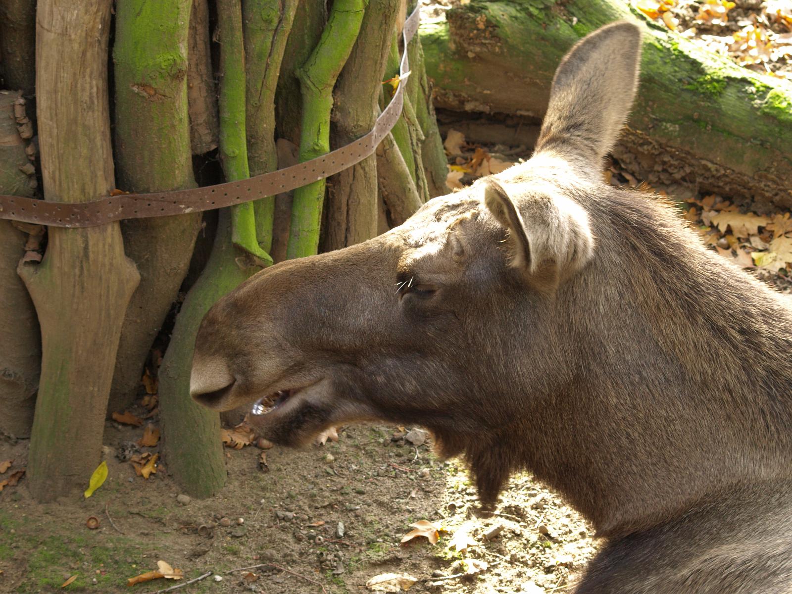 PA184257.jpg
