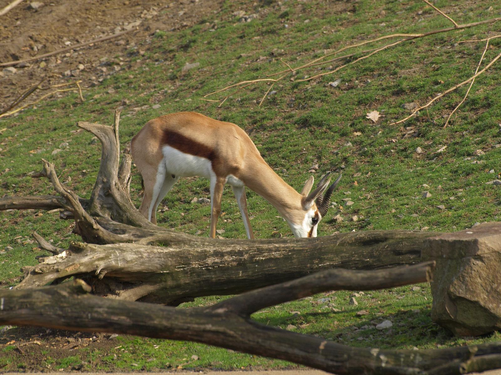 PA184302.jpg