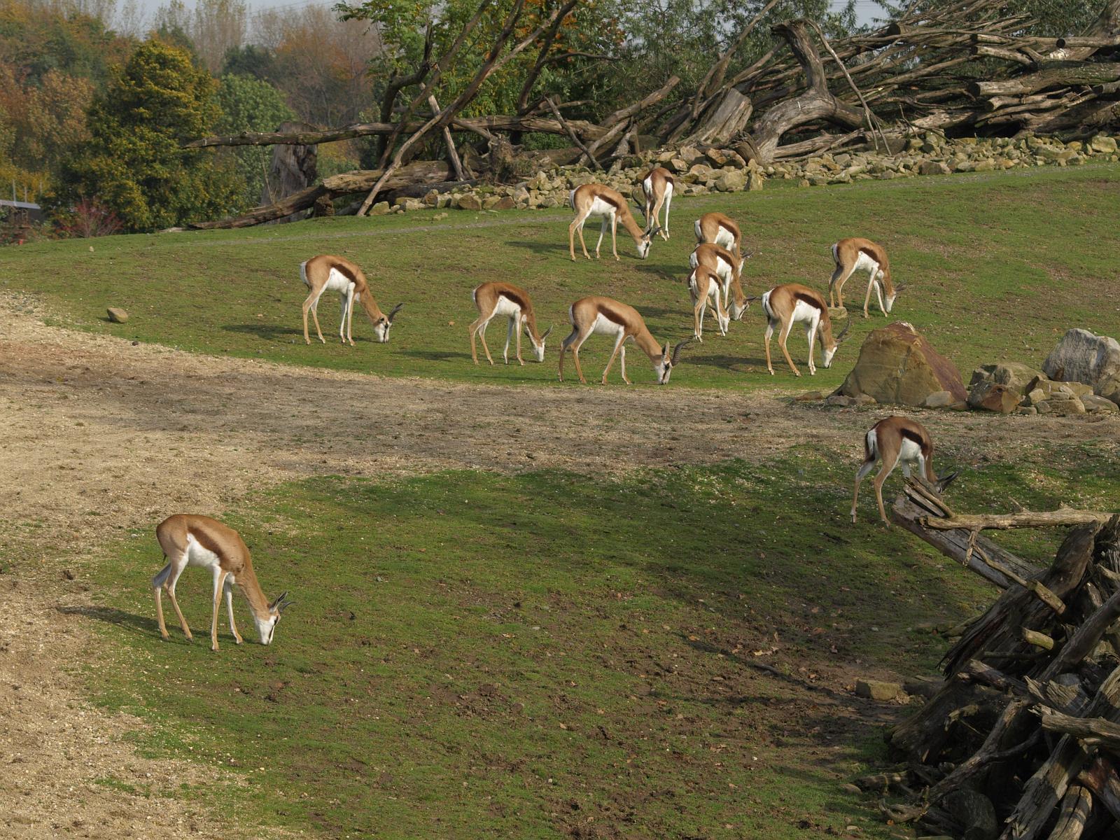 PA184317.jpg