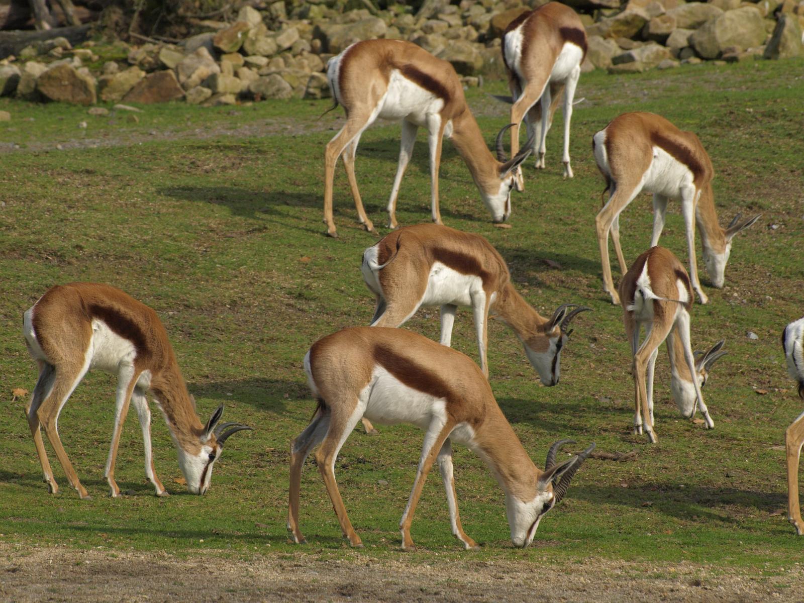 PA184318.jpg