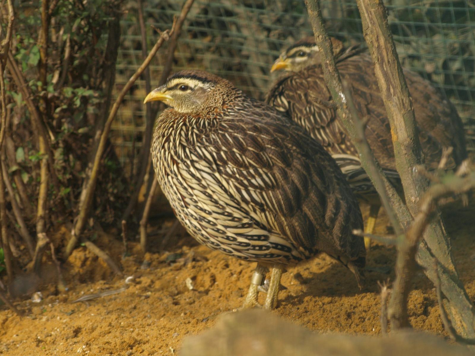 PA184329.jpg