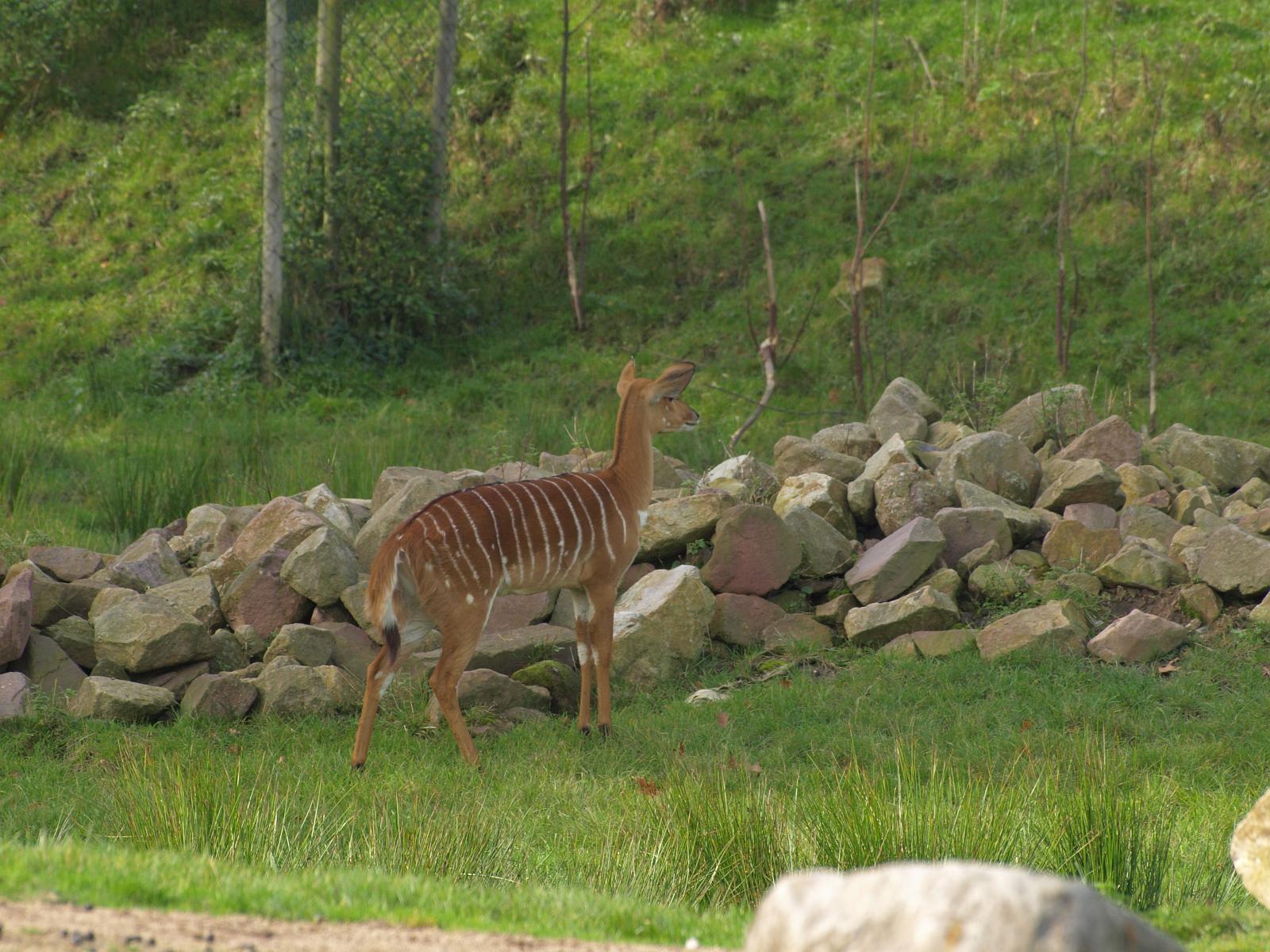 PA184330.jpg