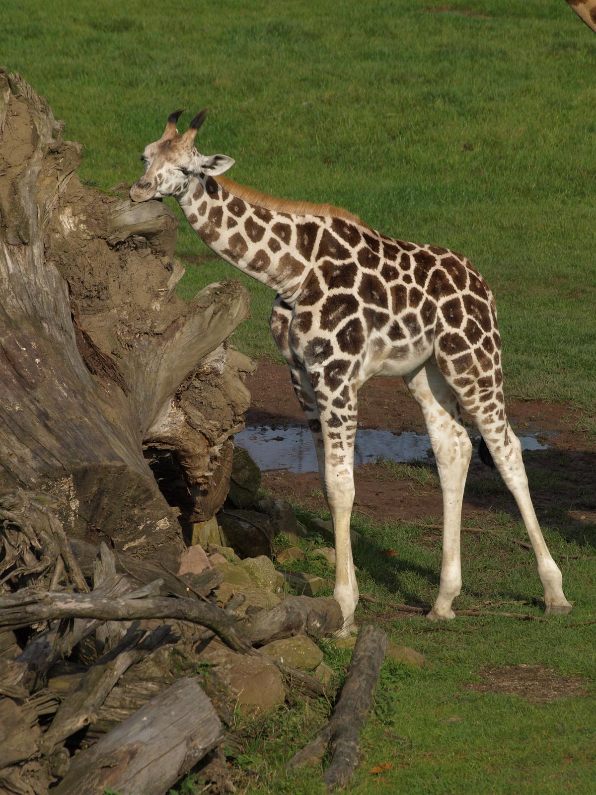 PA184347.jpg