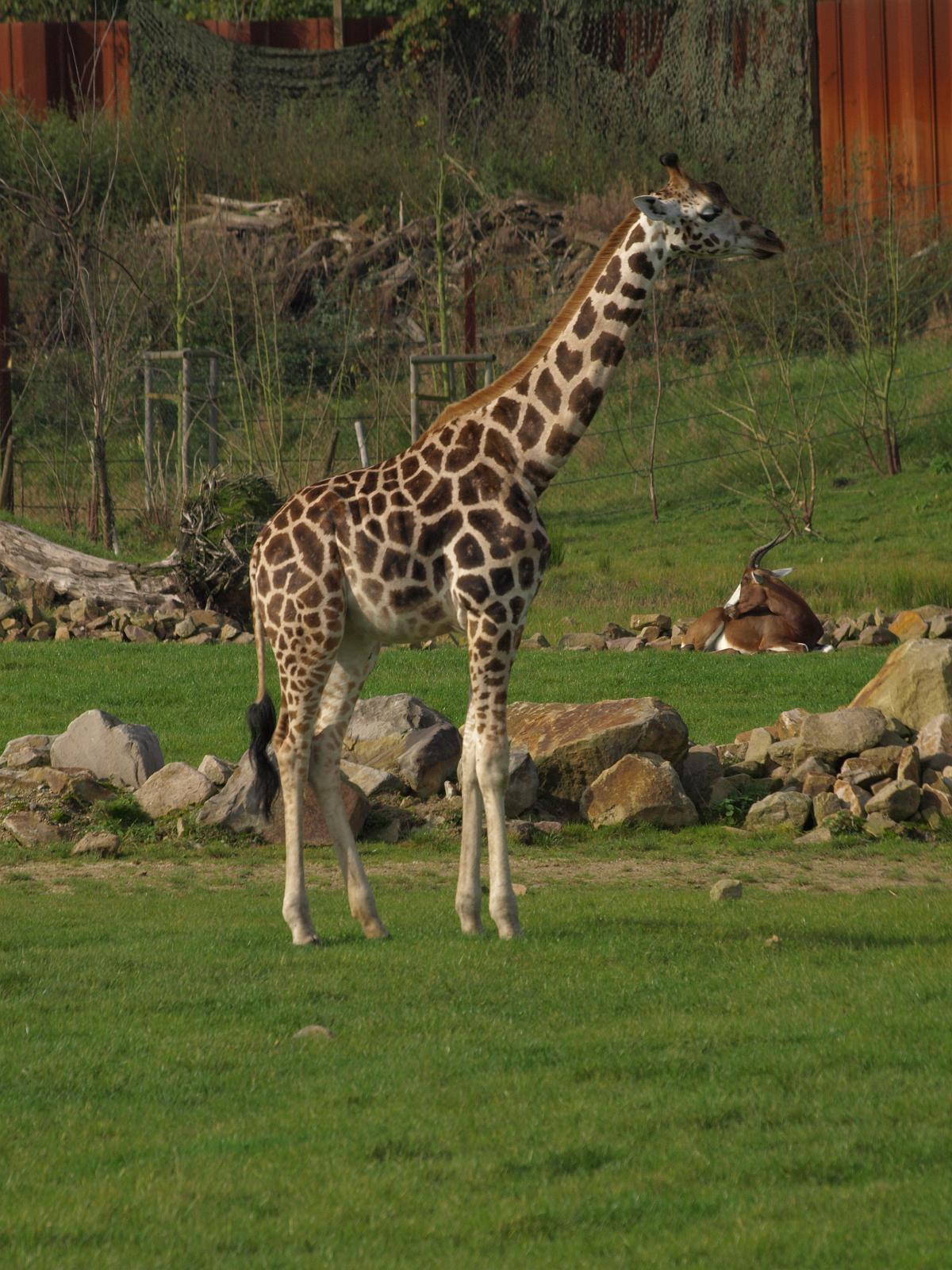 PA184355.jpg