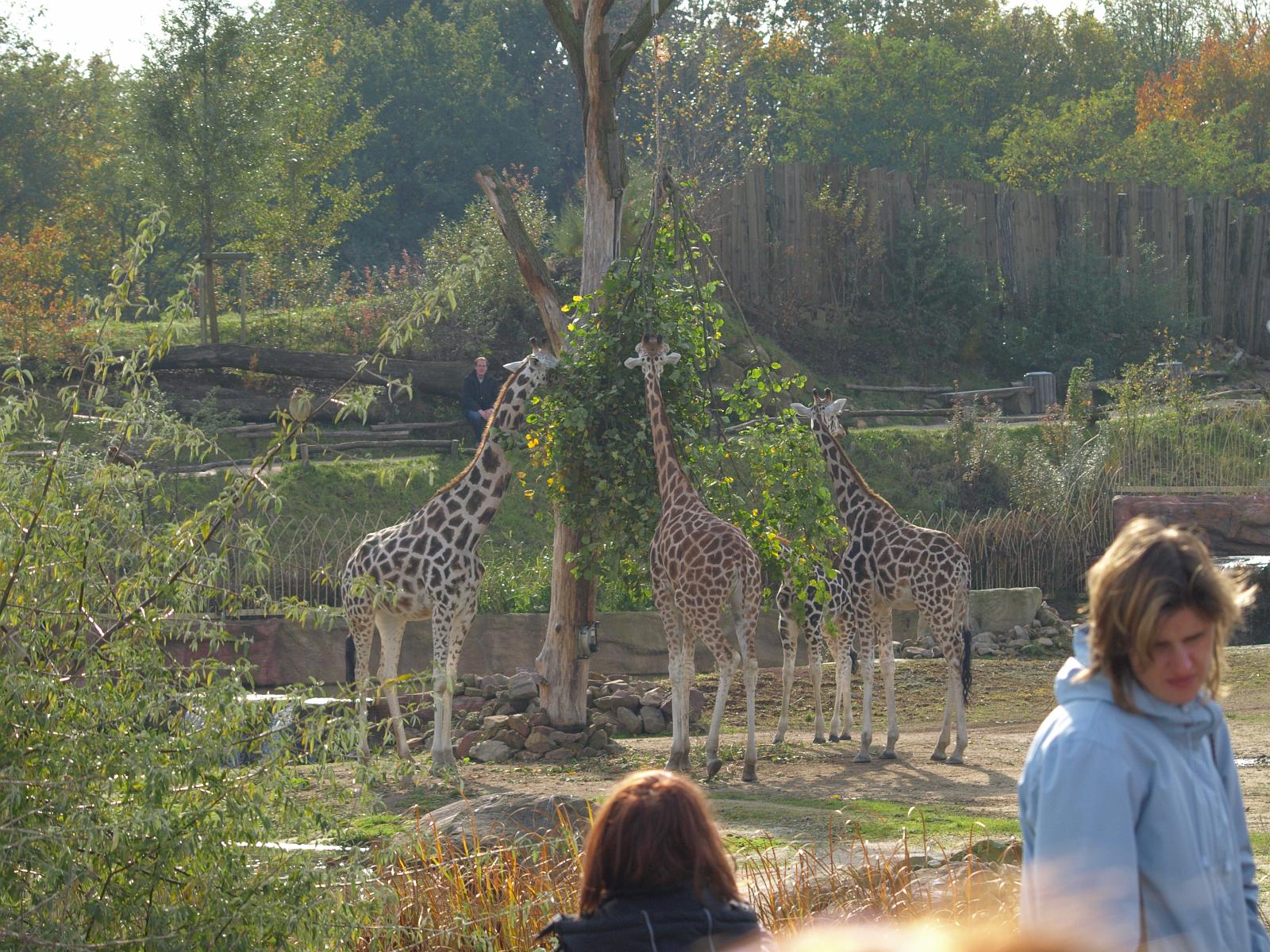 PA184378.jpg