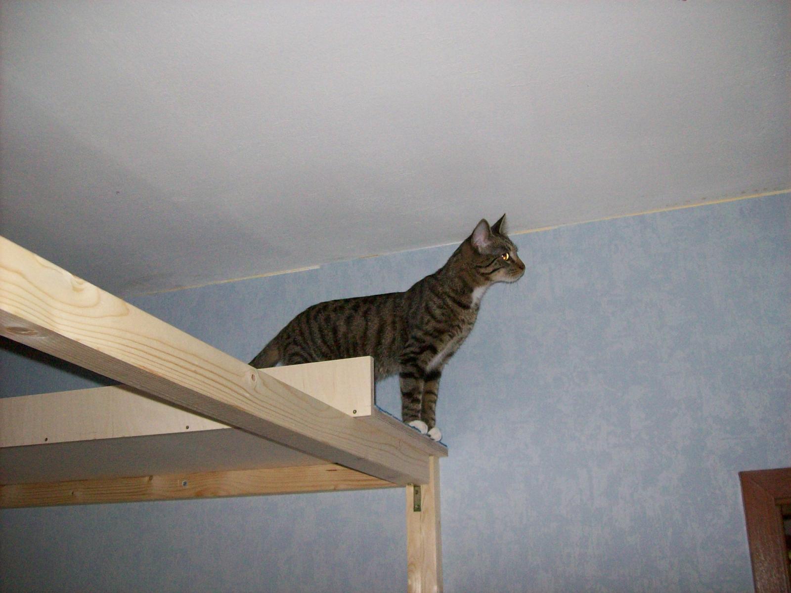 TomundJerry004.jpg