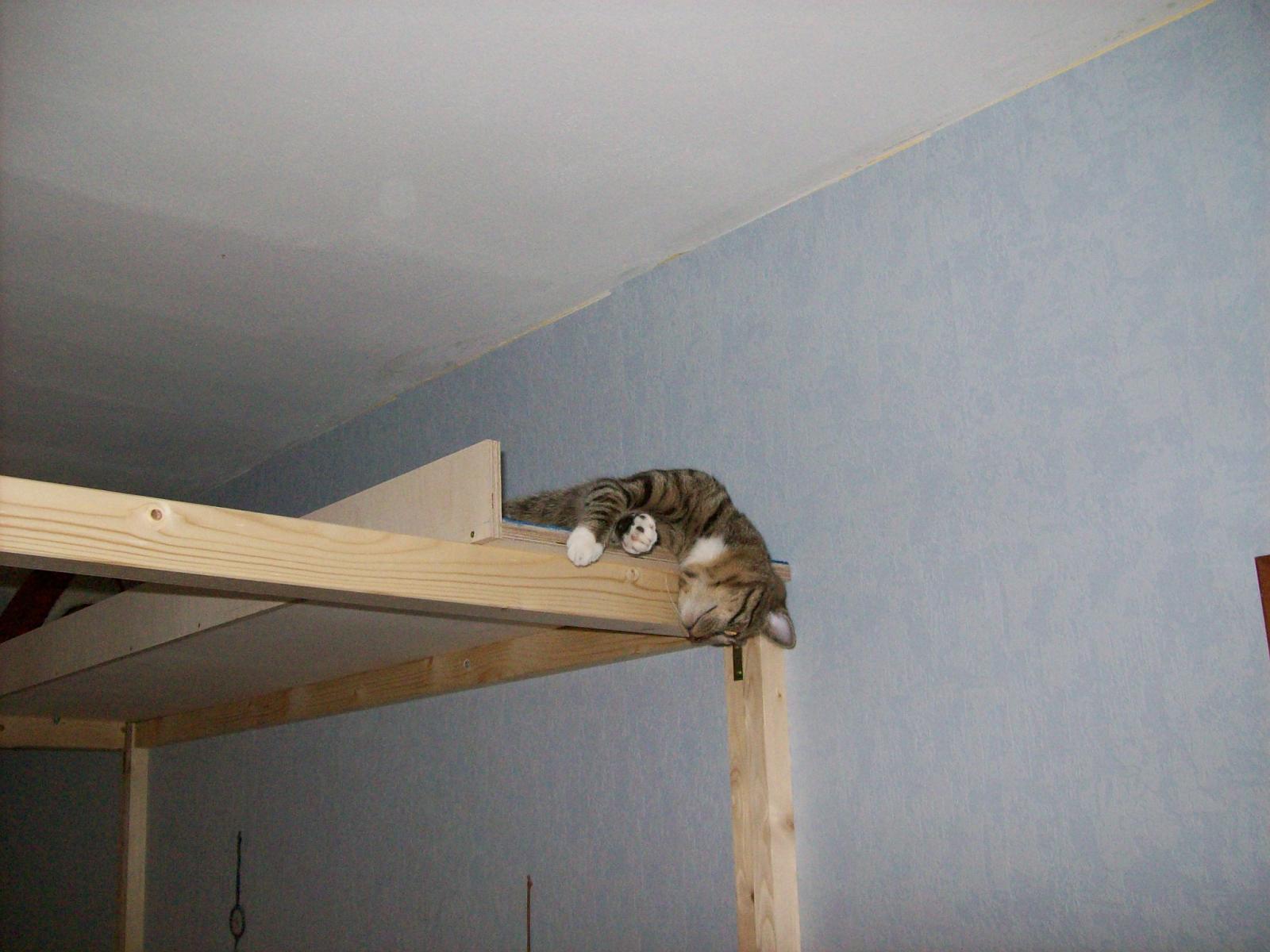 TomundJerry008.jpg