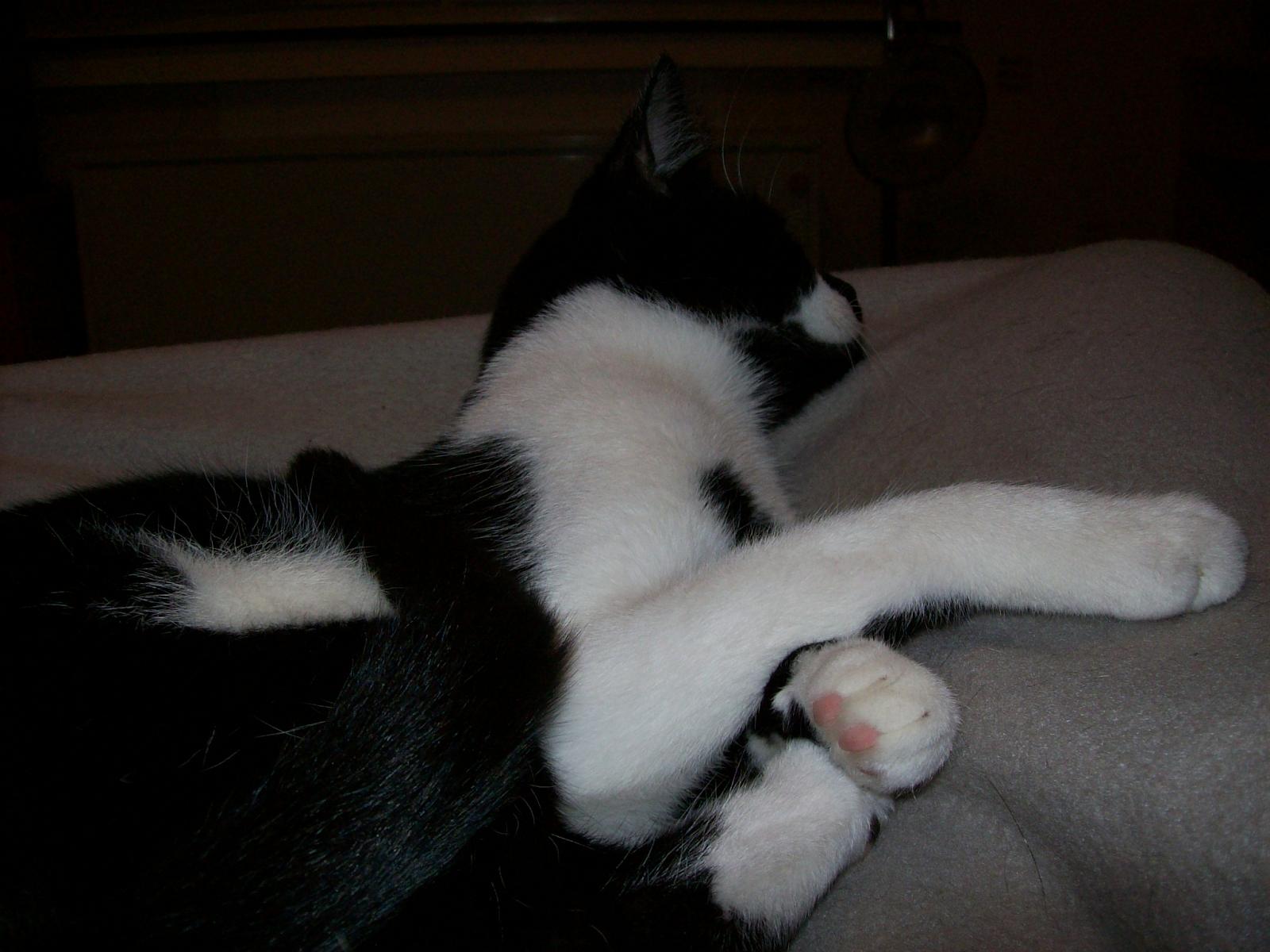 TomundJerry028.jpg