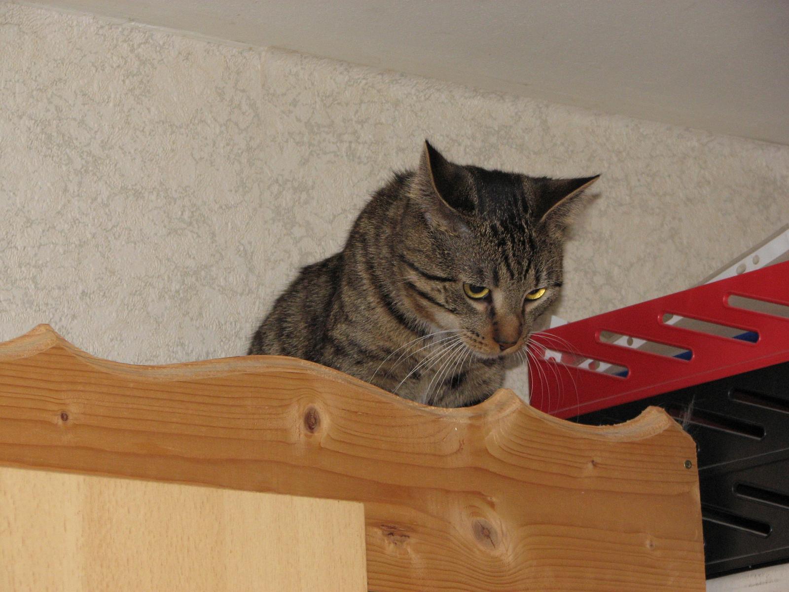 TomundJerry070.JPG