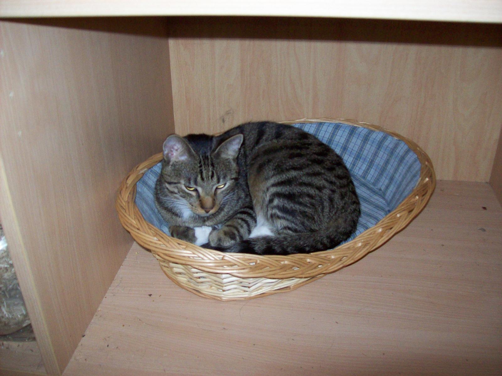 TomundJerry073.jpg