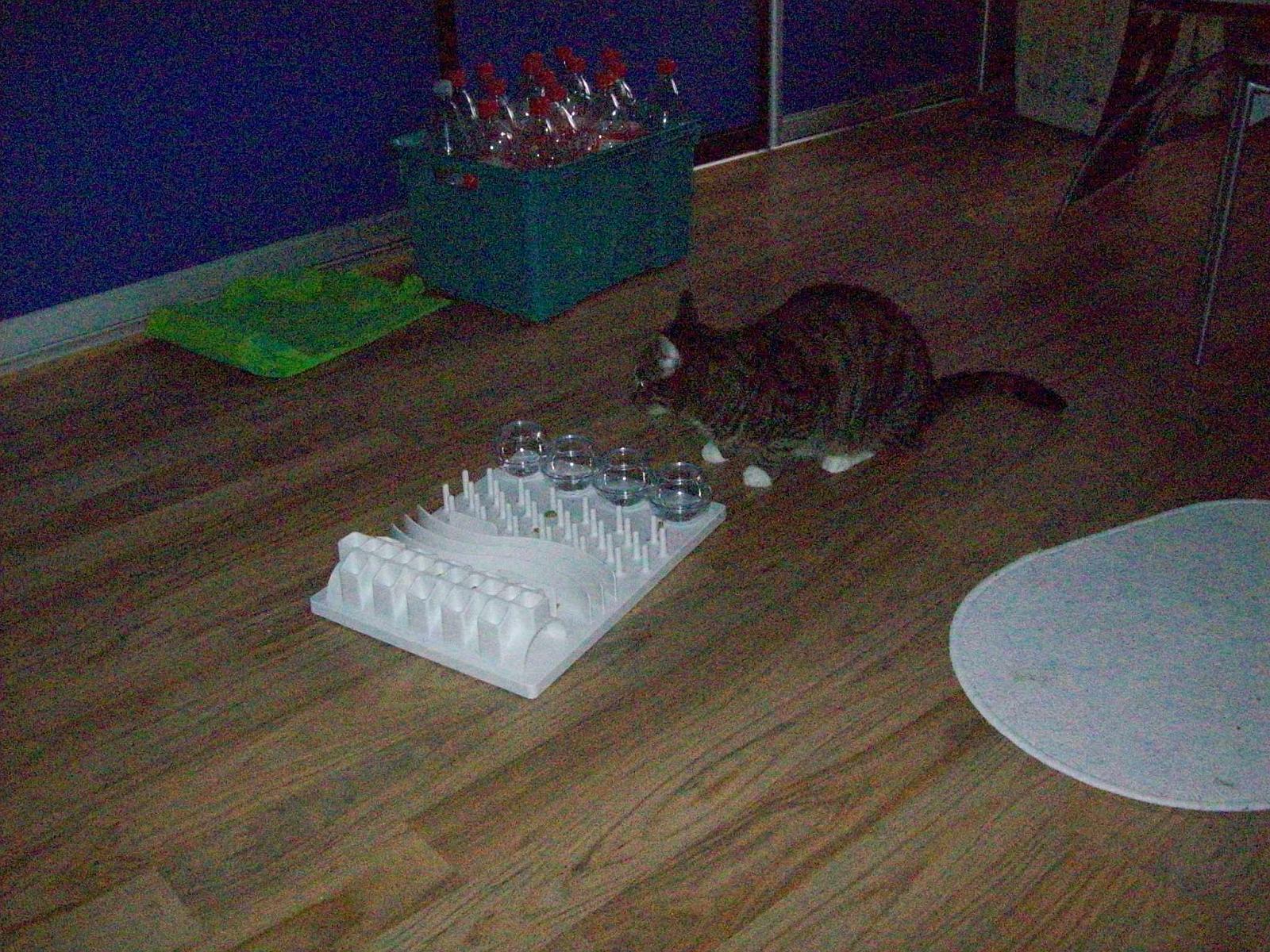 TomundJerry082.jpg
