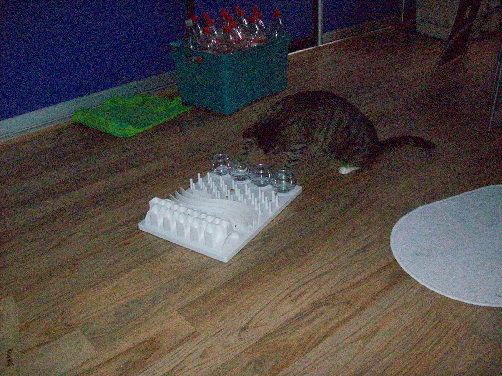 TomundJerry083.jpg