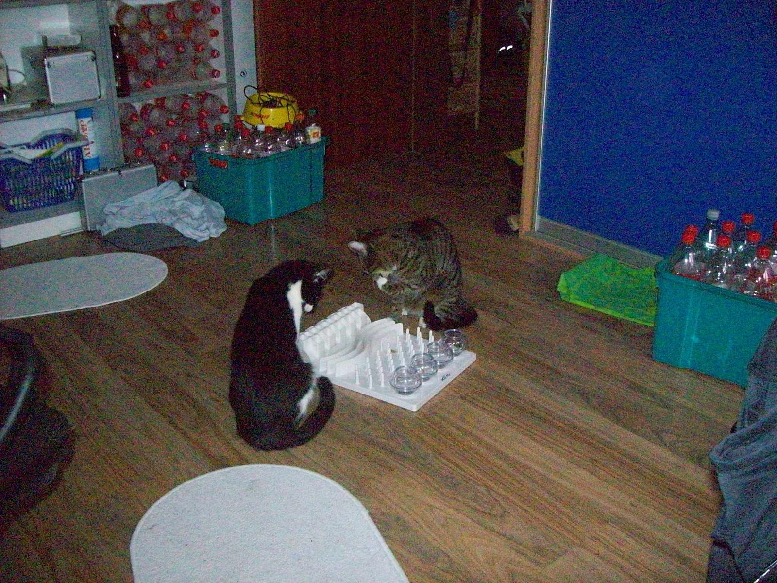 TomundJerry085.jpg