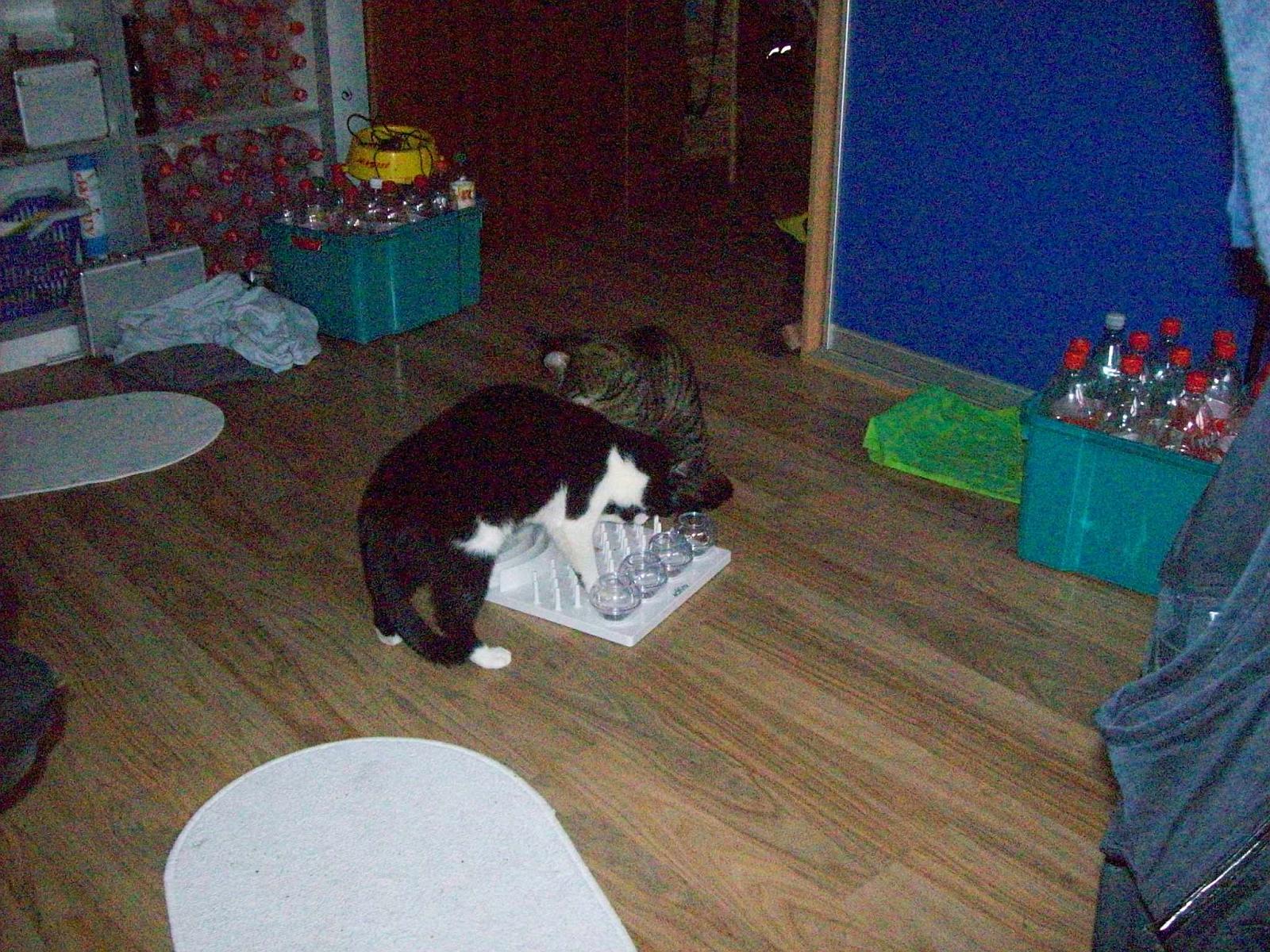 TomundJerry086.jpg