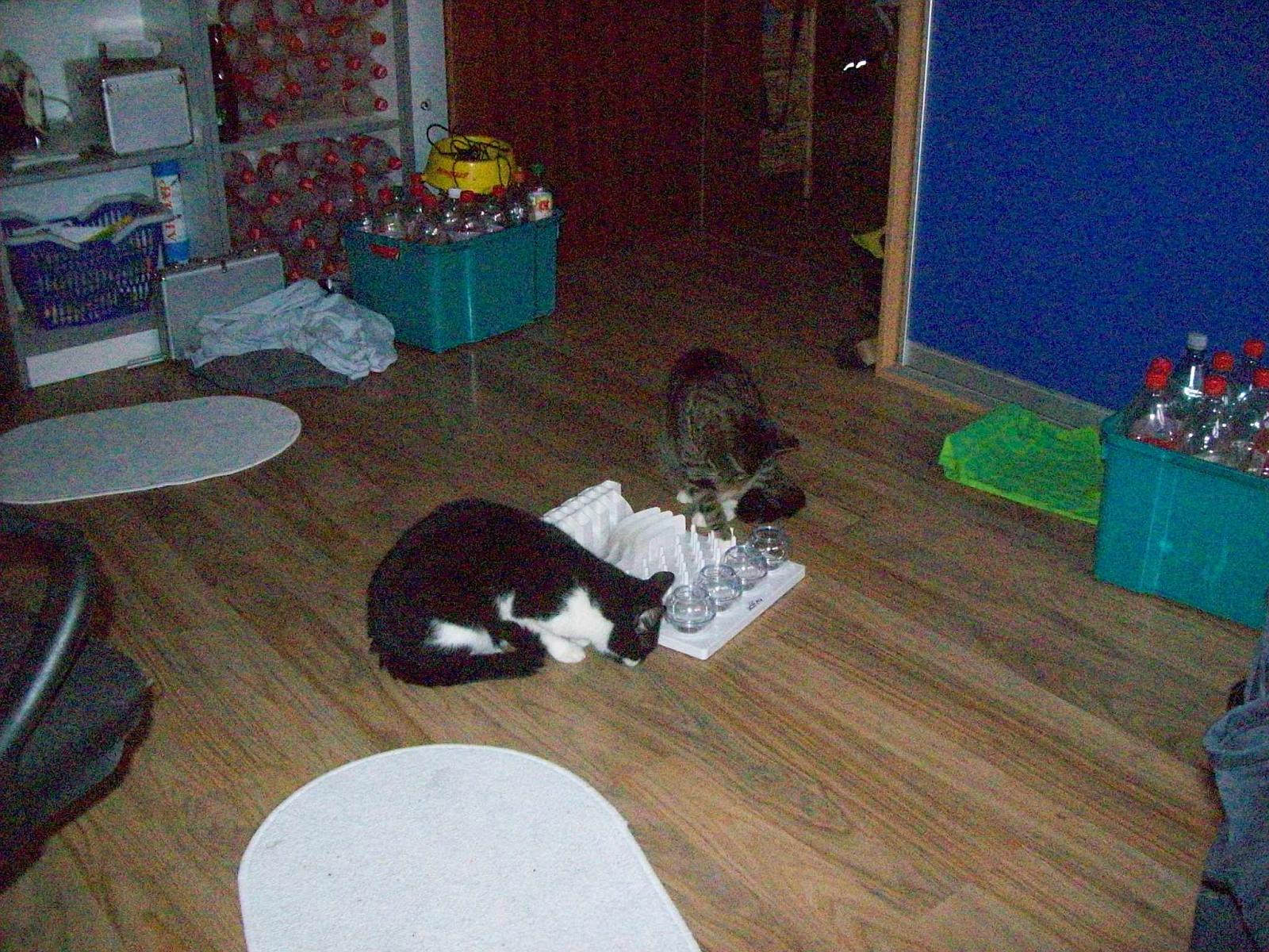 TomundJerry087.jpg