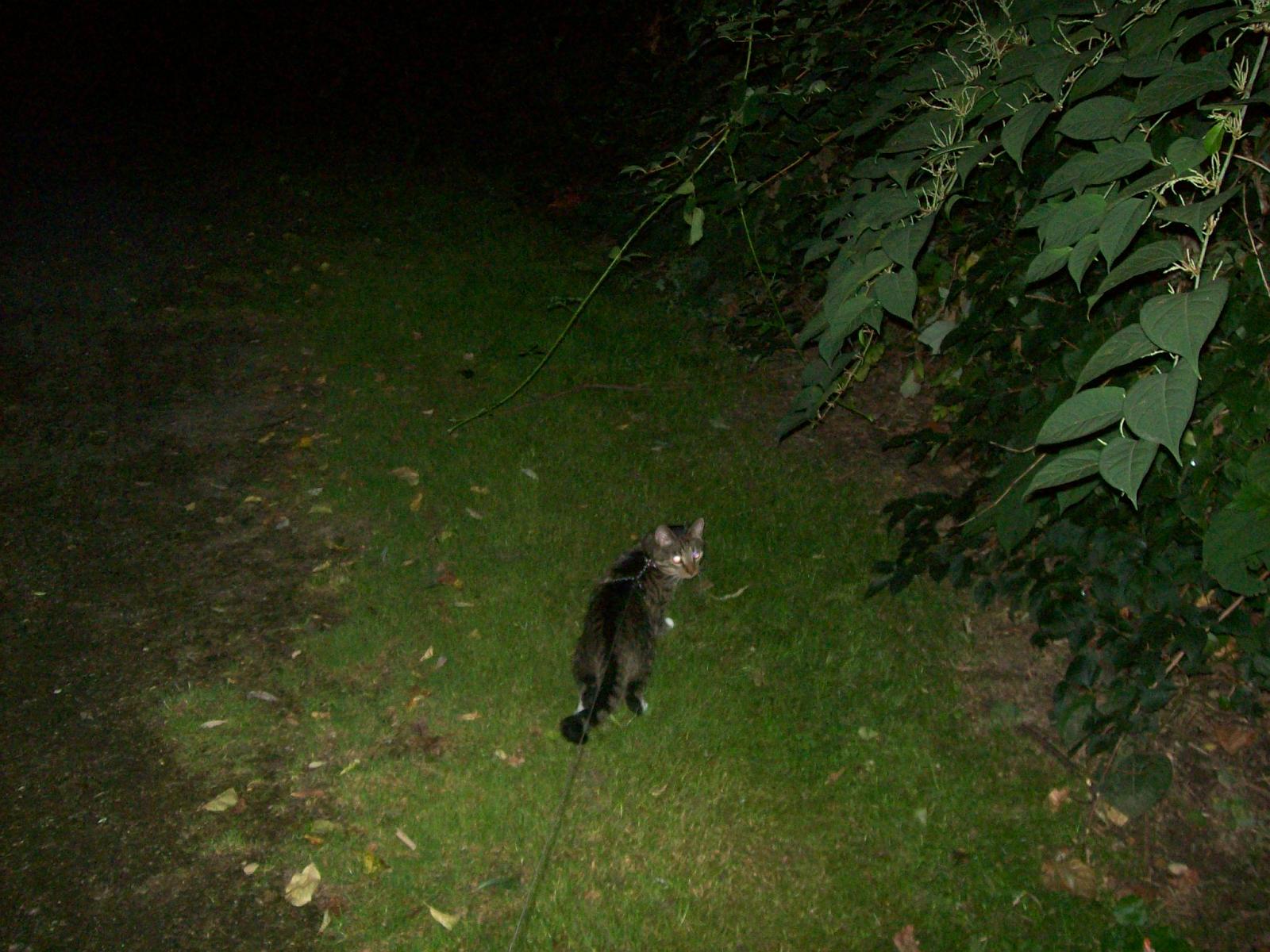 TomundJerry090.jpg
